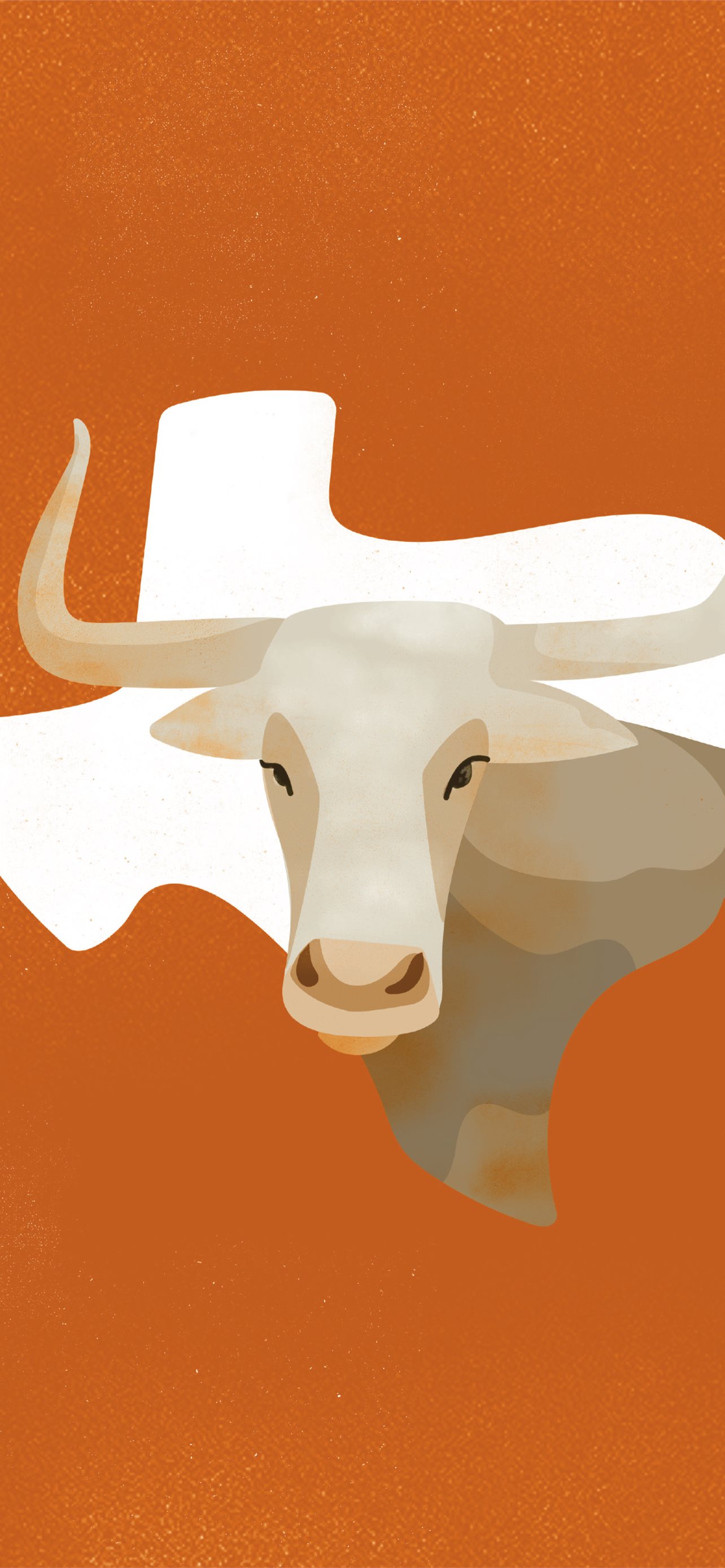 Texas Longhorns Wallpapers