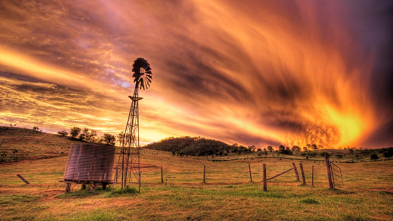 Texas Wallpapers