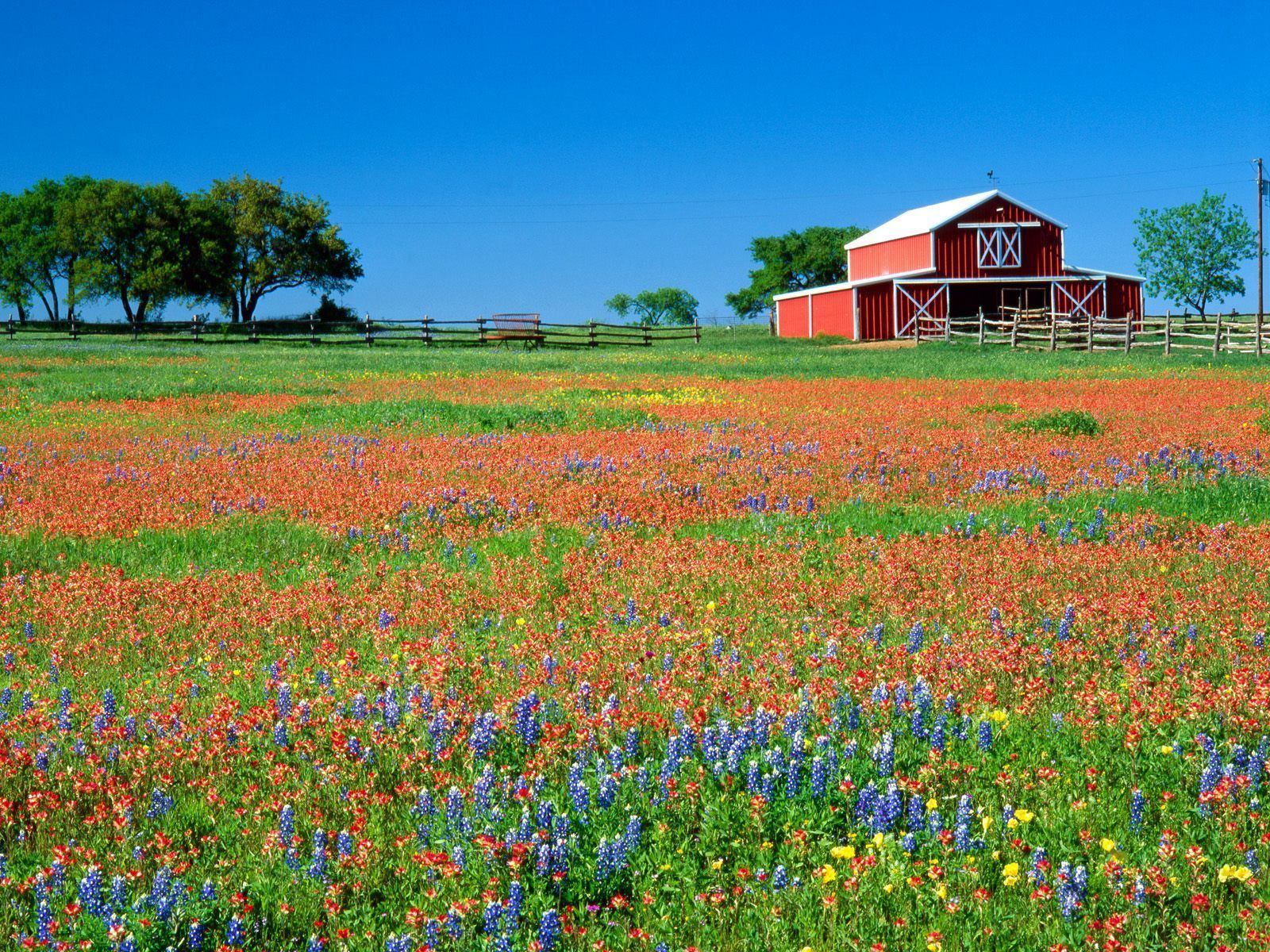 Texas Wallpapers