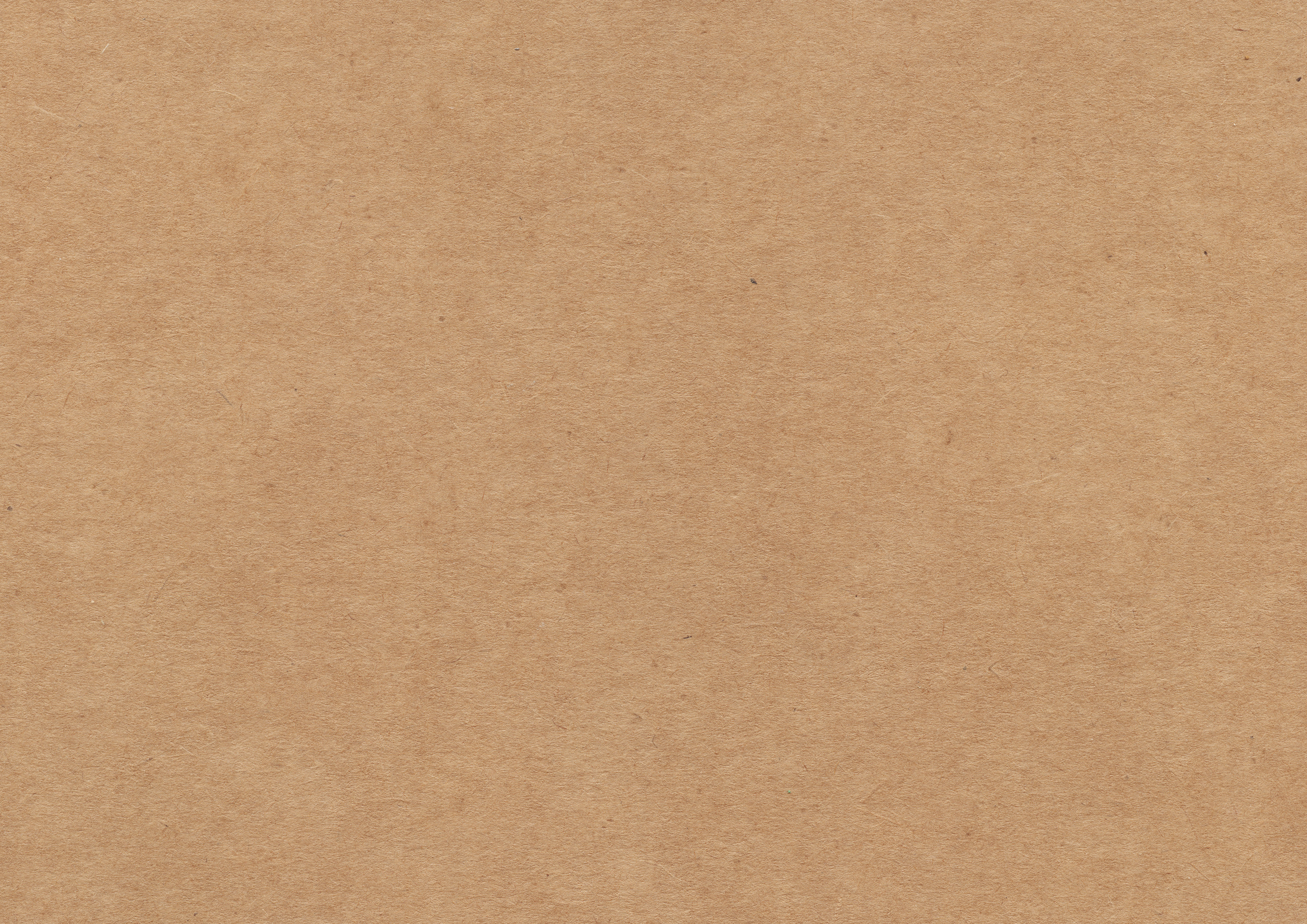 Textured Paper Background