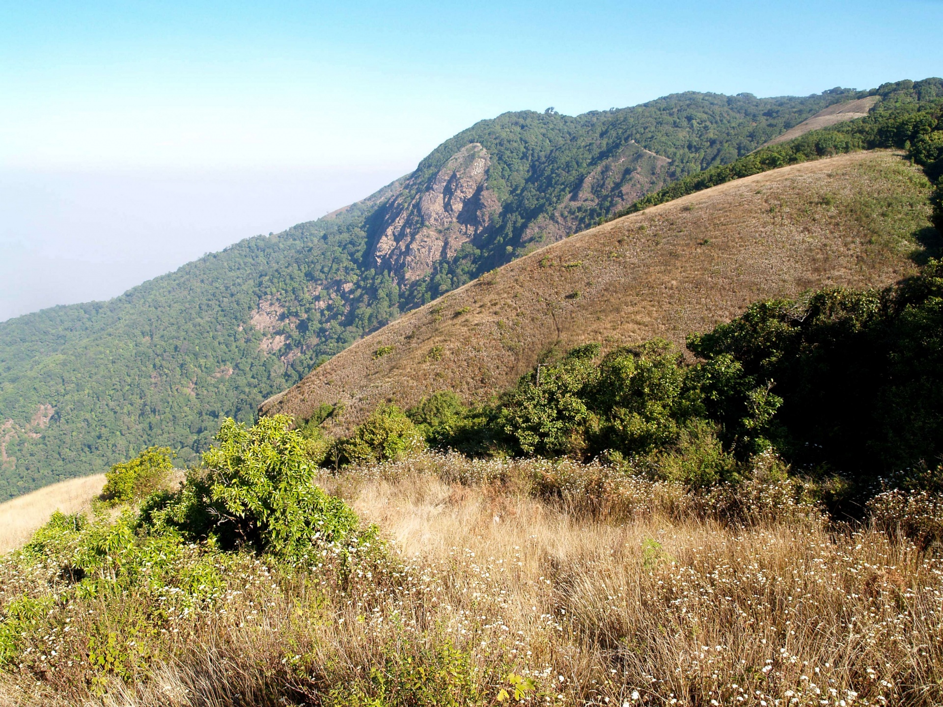 Thailand Doi Inthanon National Park Mountains Wallpapers