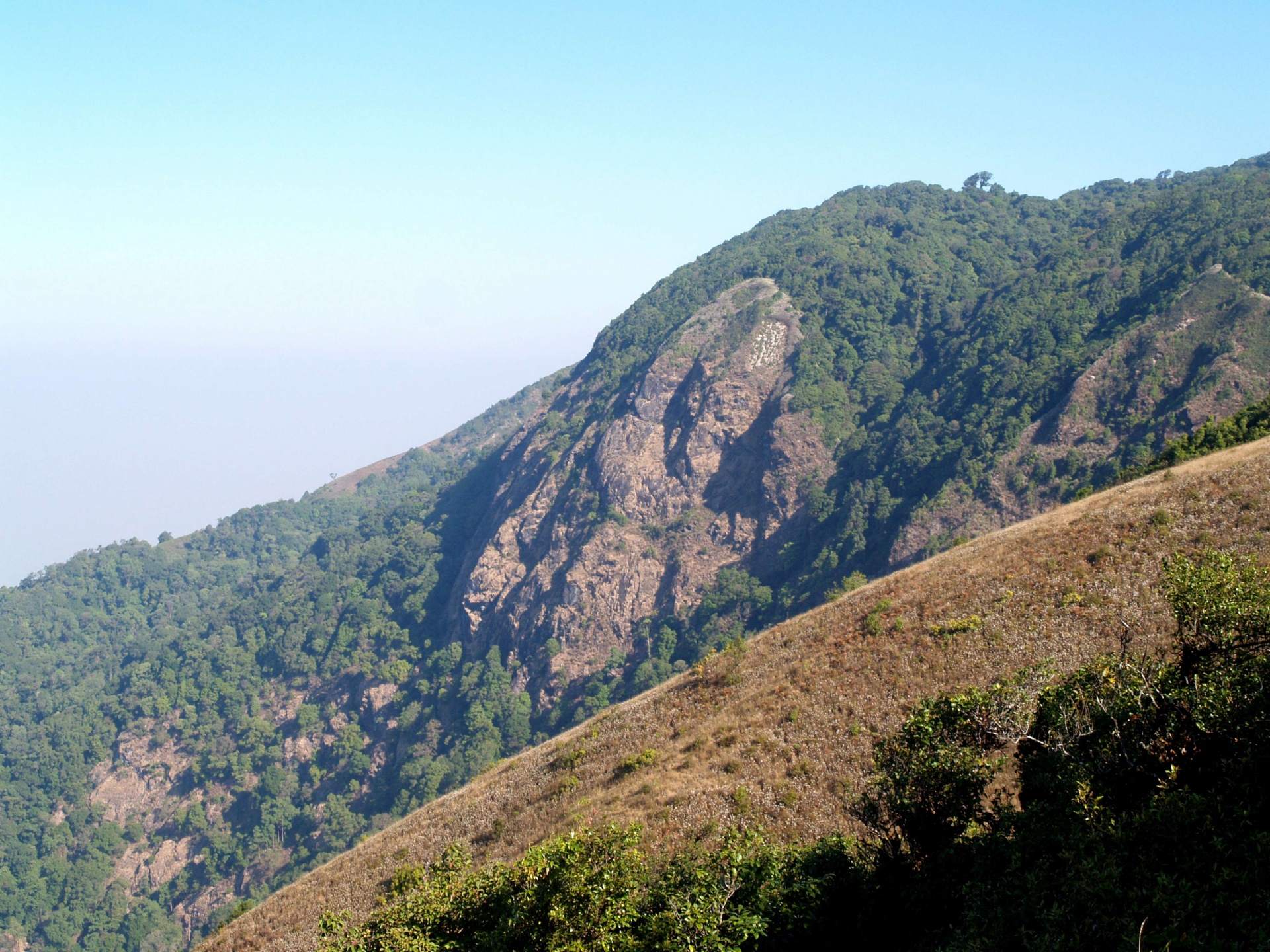 Thailand Doi Inthanon National Park Mountains Wallpapers