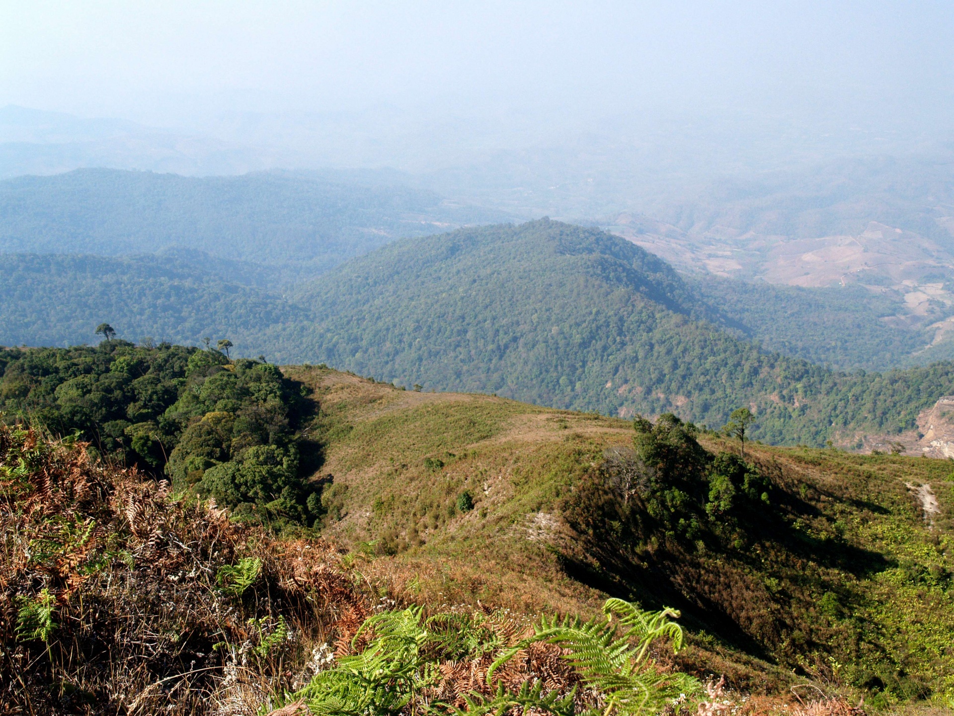 Thailand Doi Inthanon National Park Mountains Wallpapers