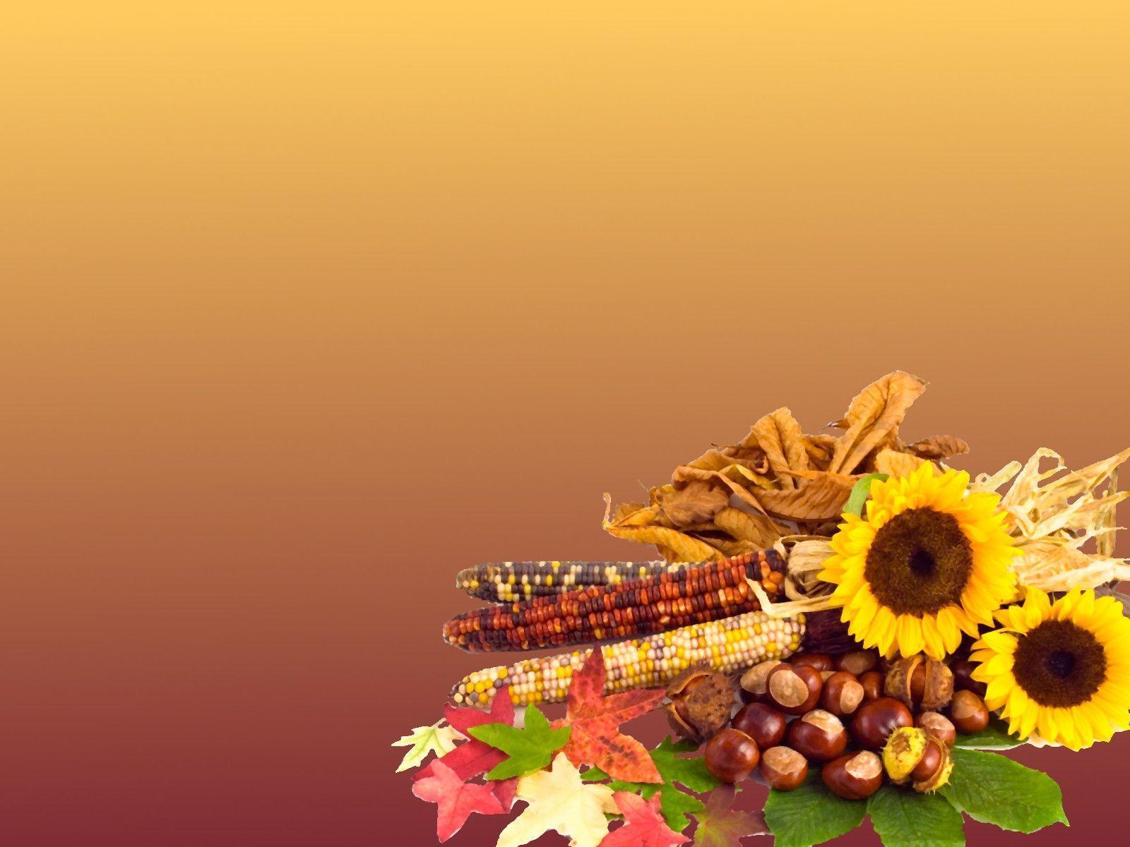 Thanksgiving 2016 Background