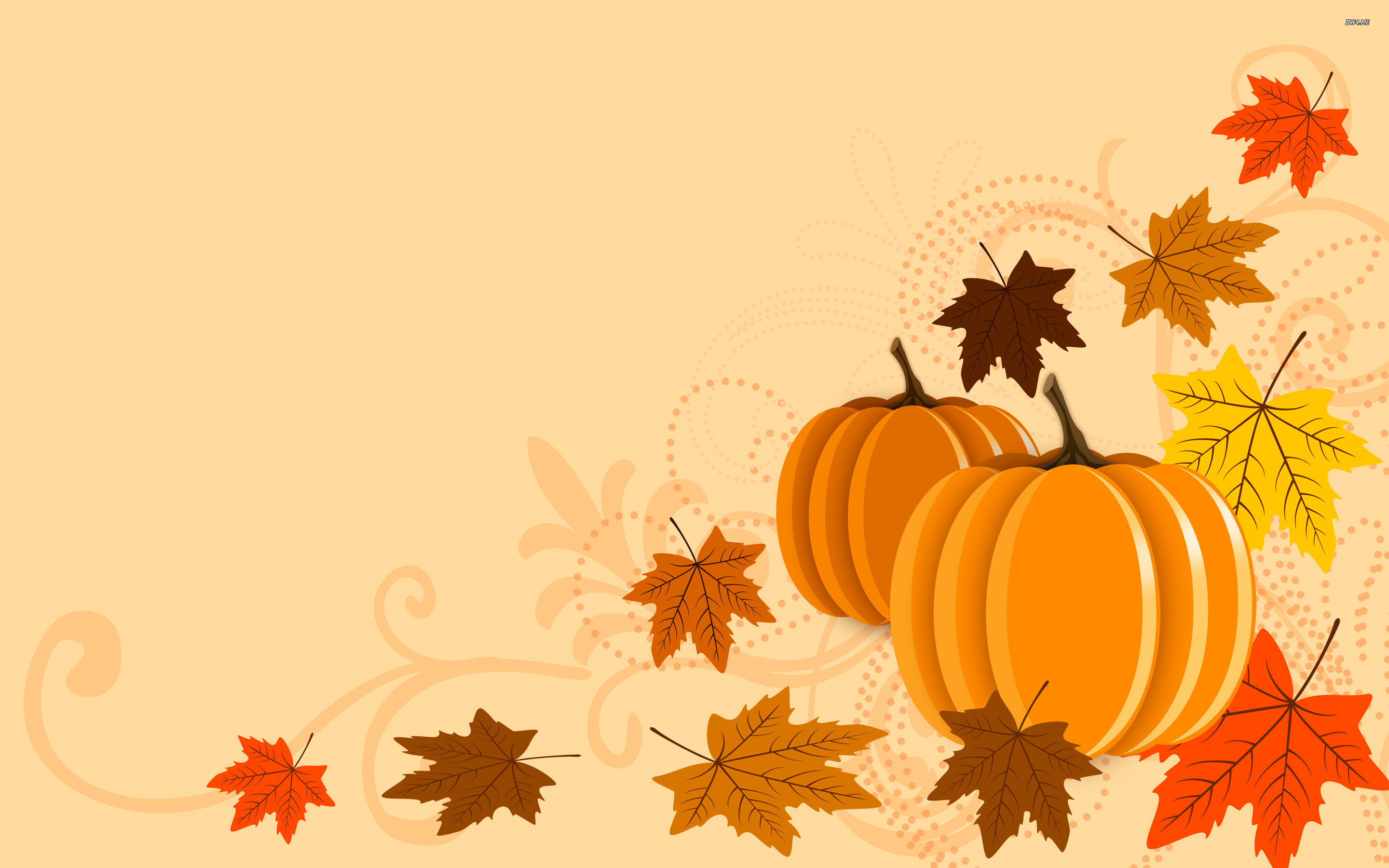 Thanksgiving Pumpkin Pictures Wallpapers