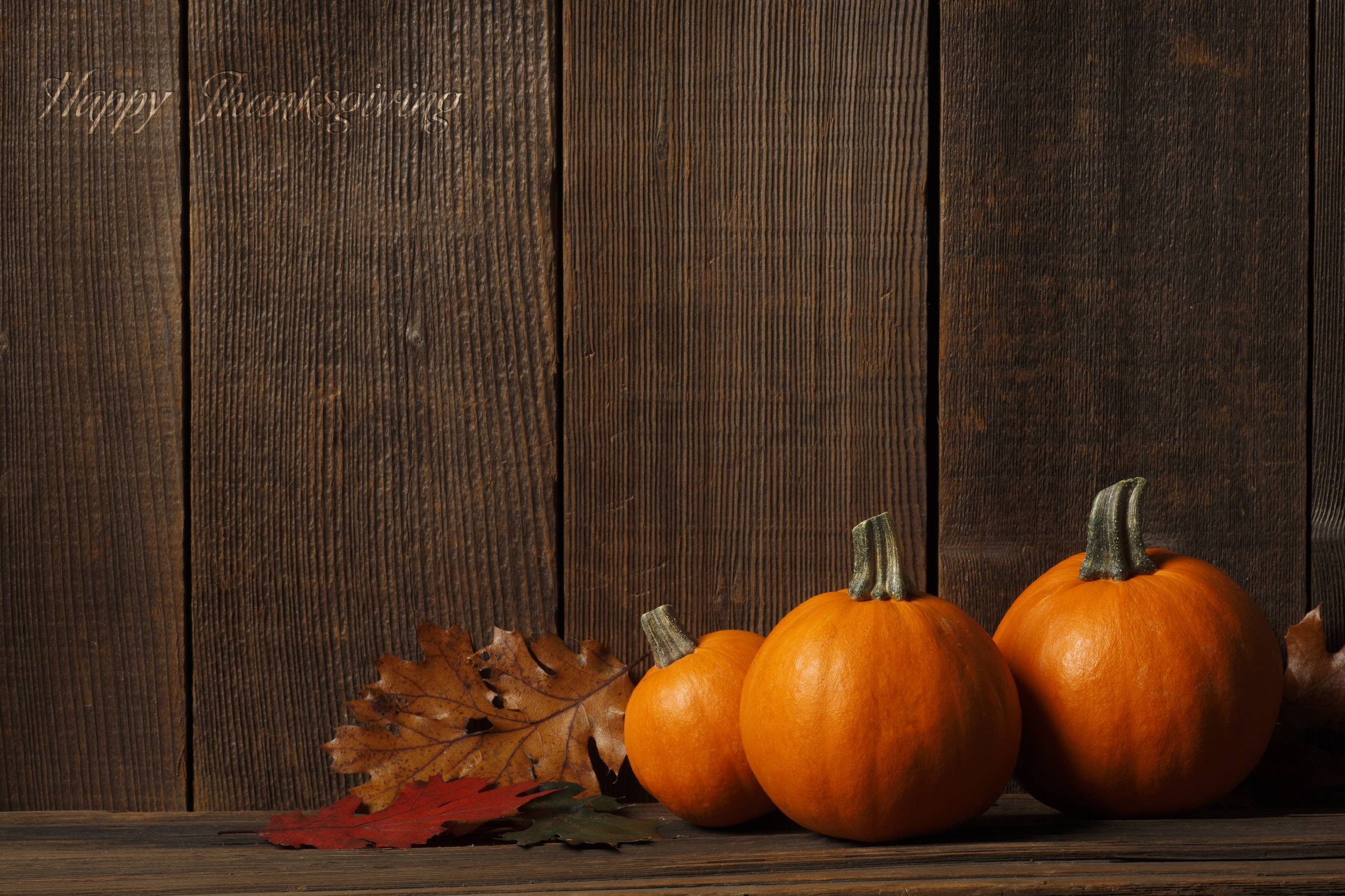 Thanksgiving Pumpkin Pictures Wallpapers