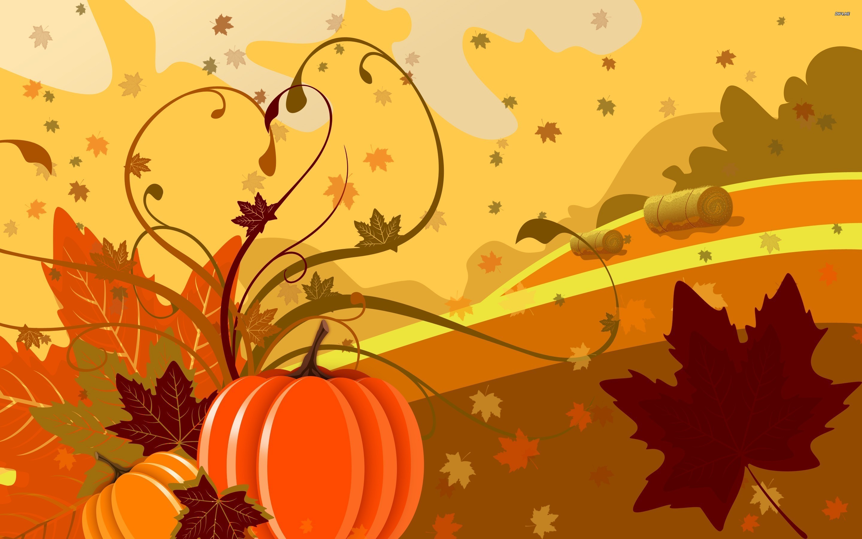 Thanksgiving Pumpkin Pictures Wallpapers