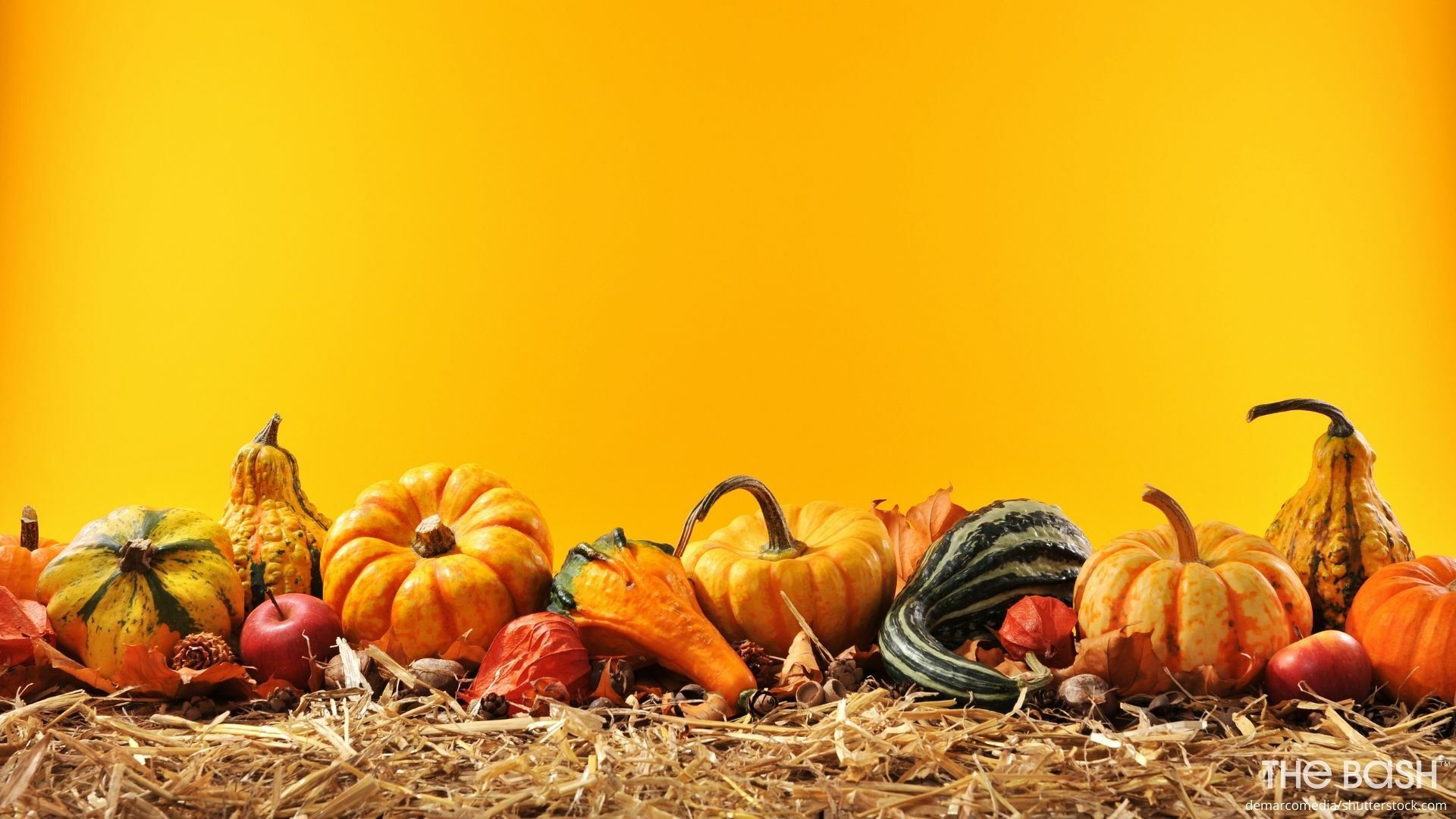 Thanksgiving Wallpapers