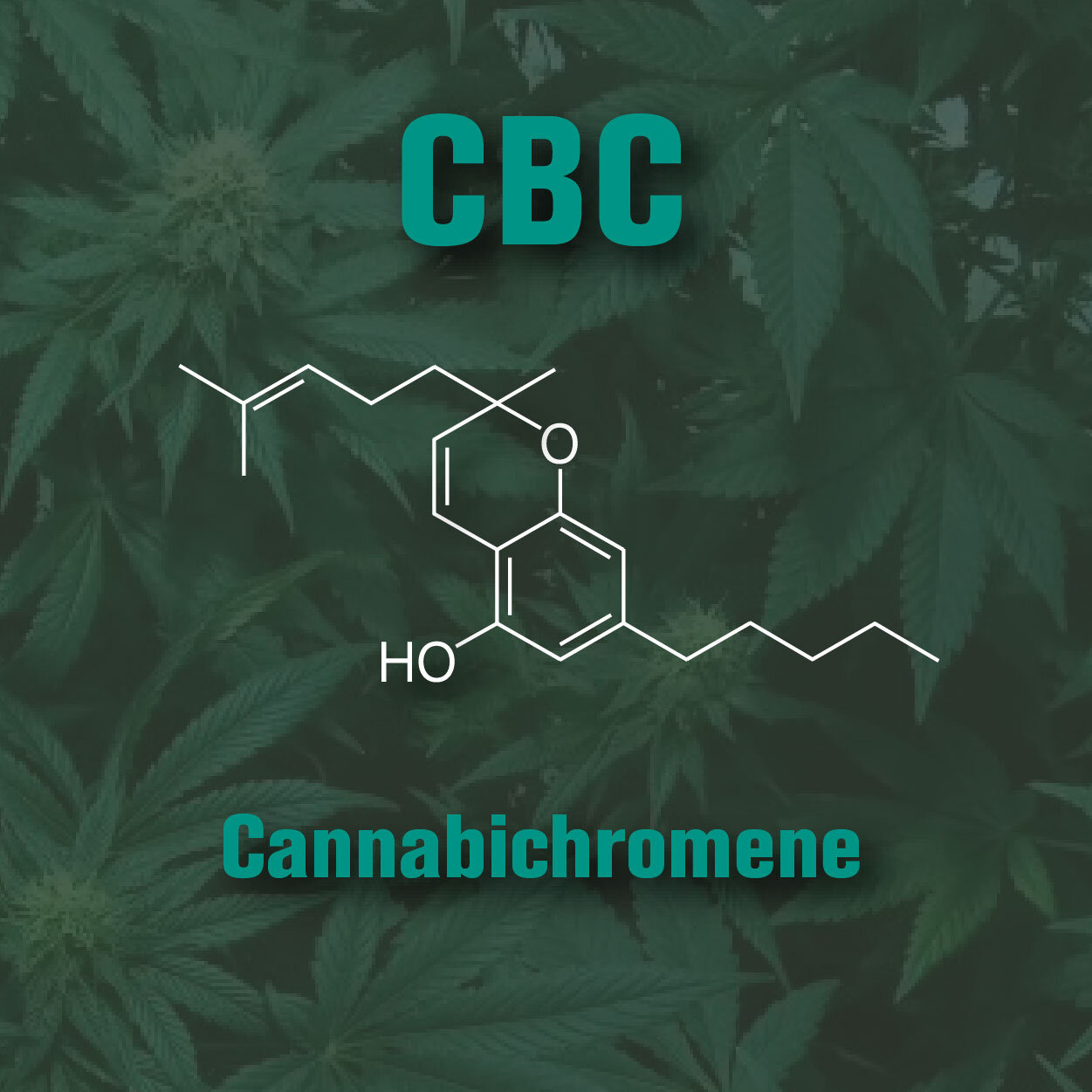 Thc Molecule Wallpapers