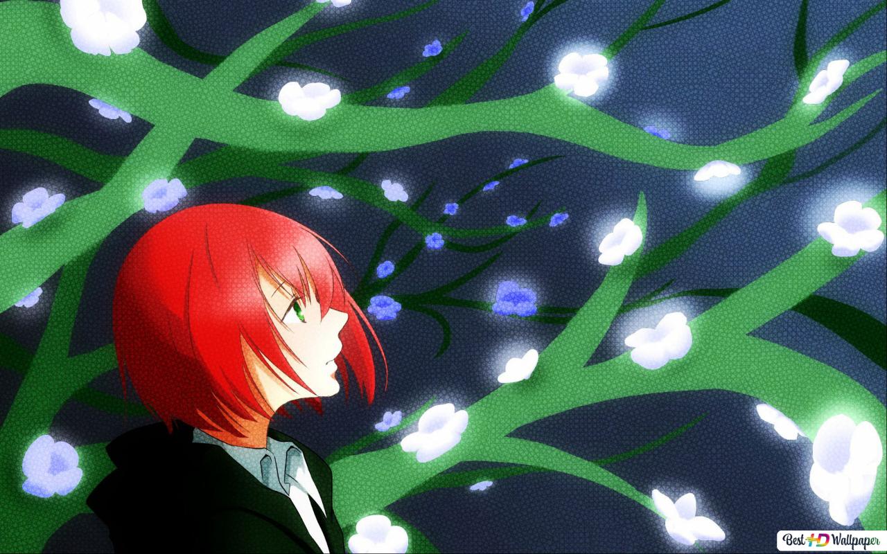 The Ancient Magus Bride Wallpapers