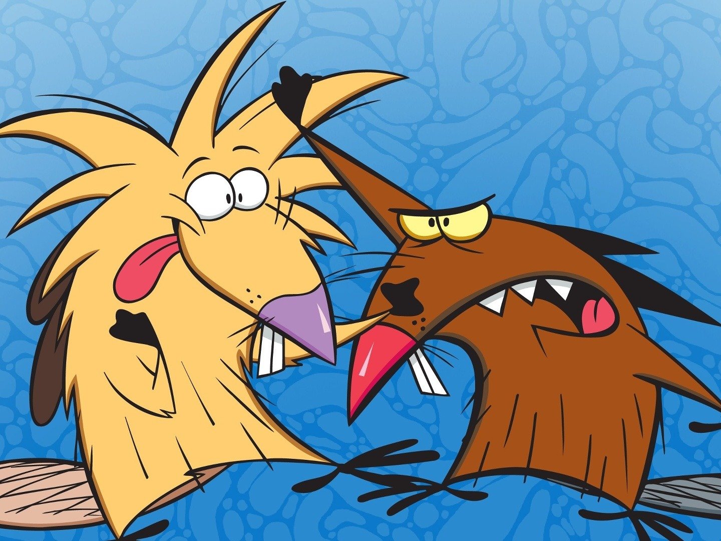 The Angry Beavers Wallpapers