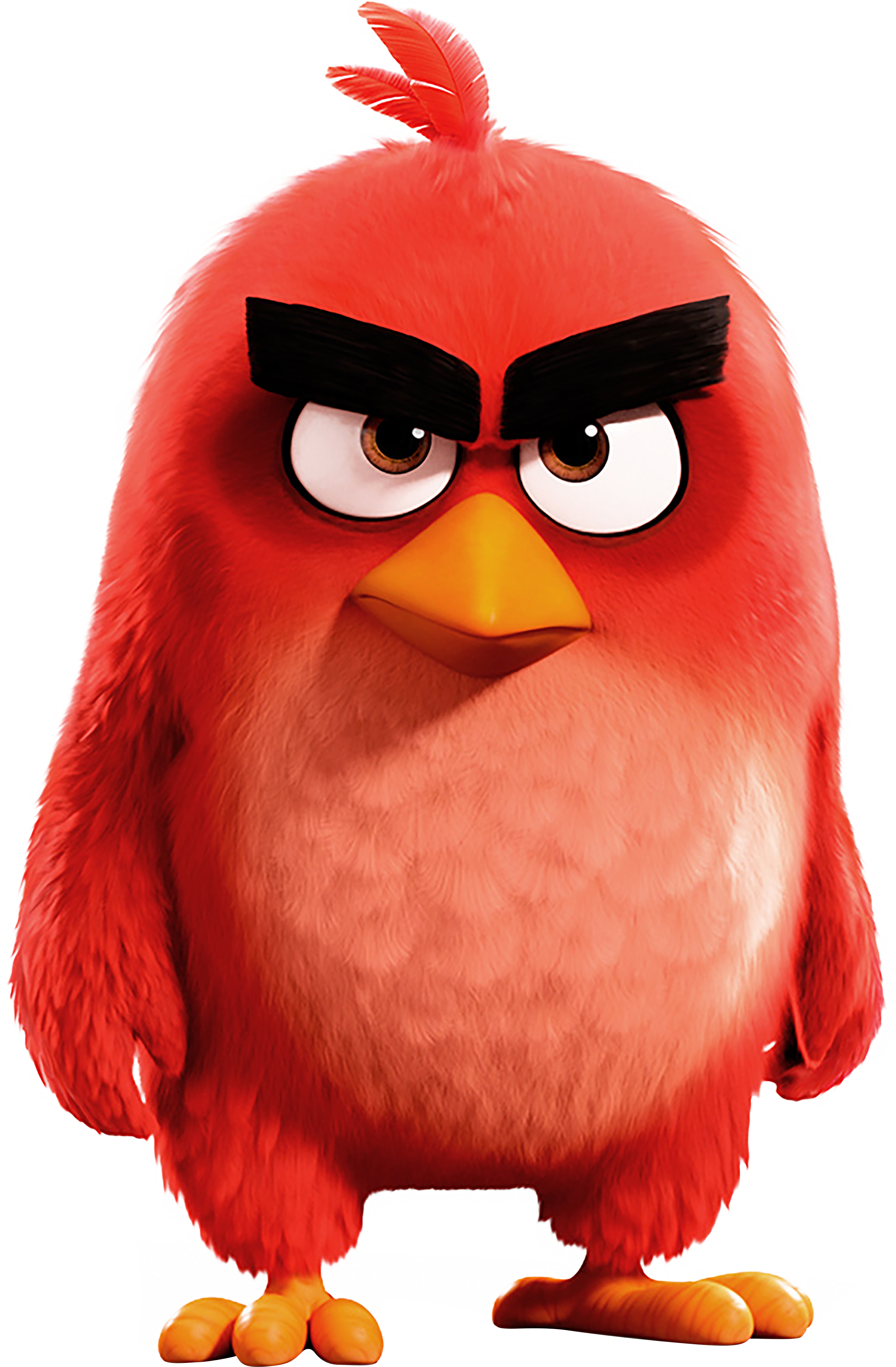 The Angry Birds Movie 2 Poster Key Art Image Wallpapers