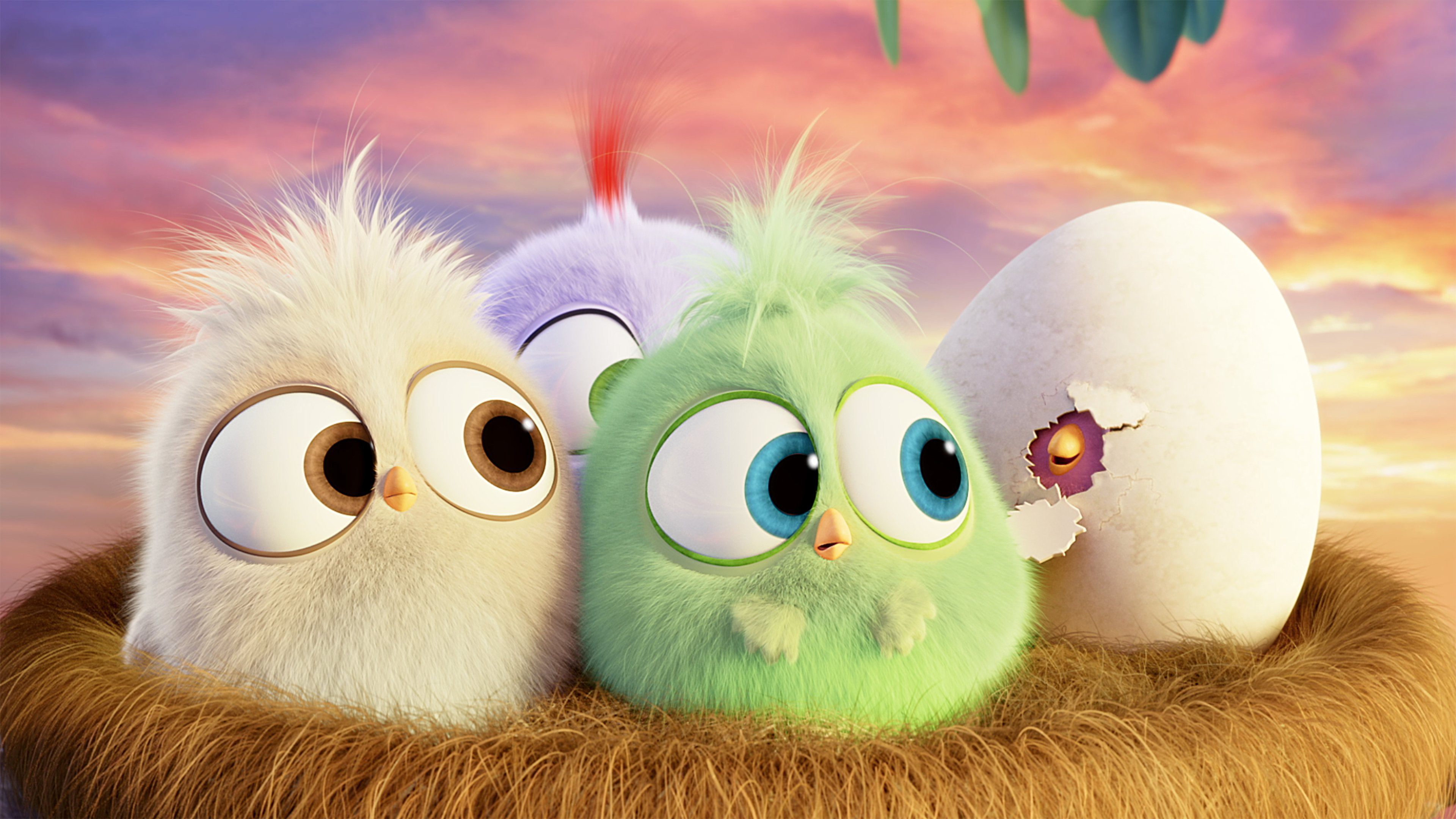 The Angry Birds Movie Wallpapers