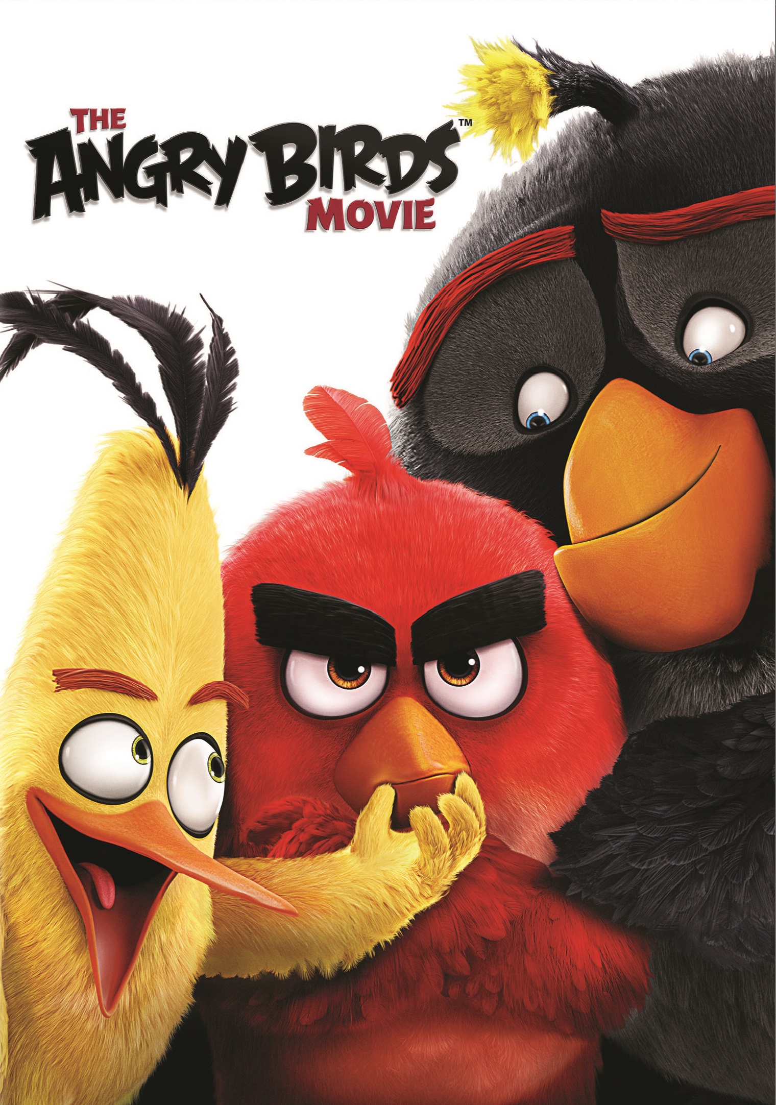 The Angry Birds Movie Wallpapers