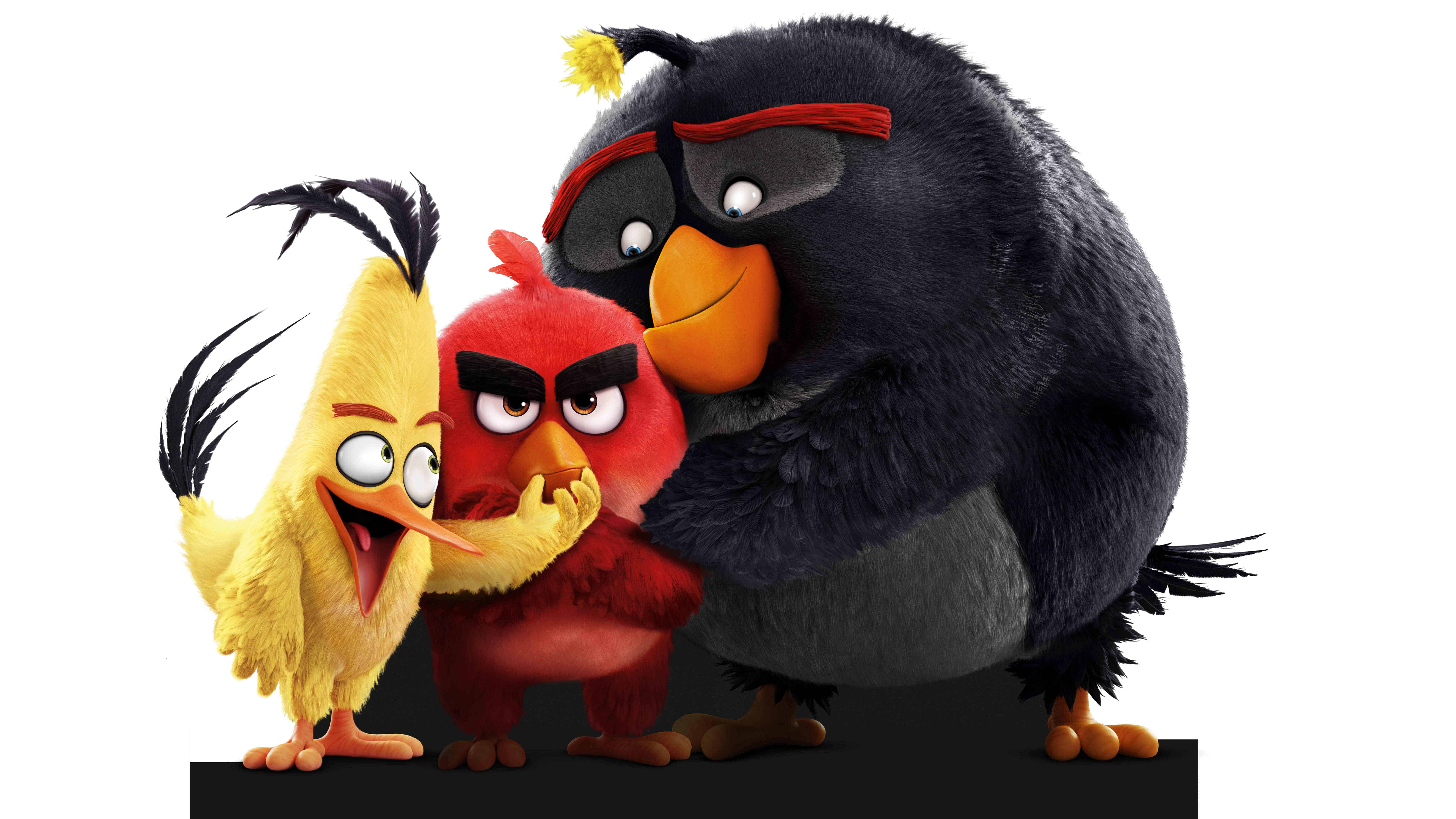 The Angry Birds Movie Wallpapers