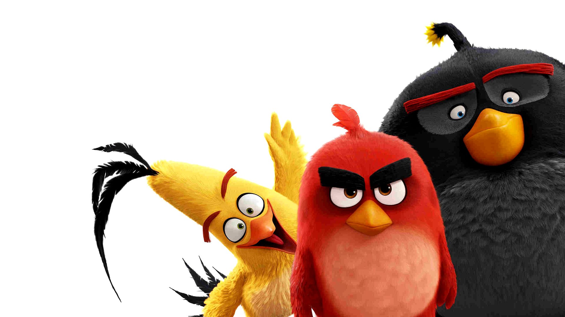 The Angry Birds Movie Wallpapers