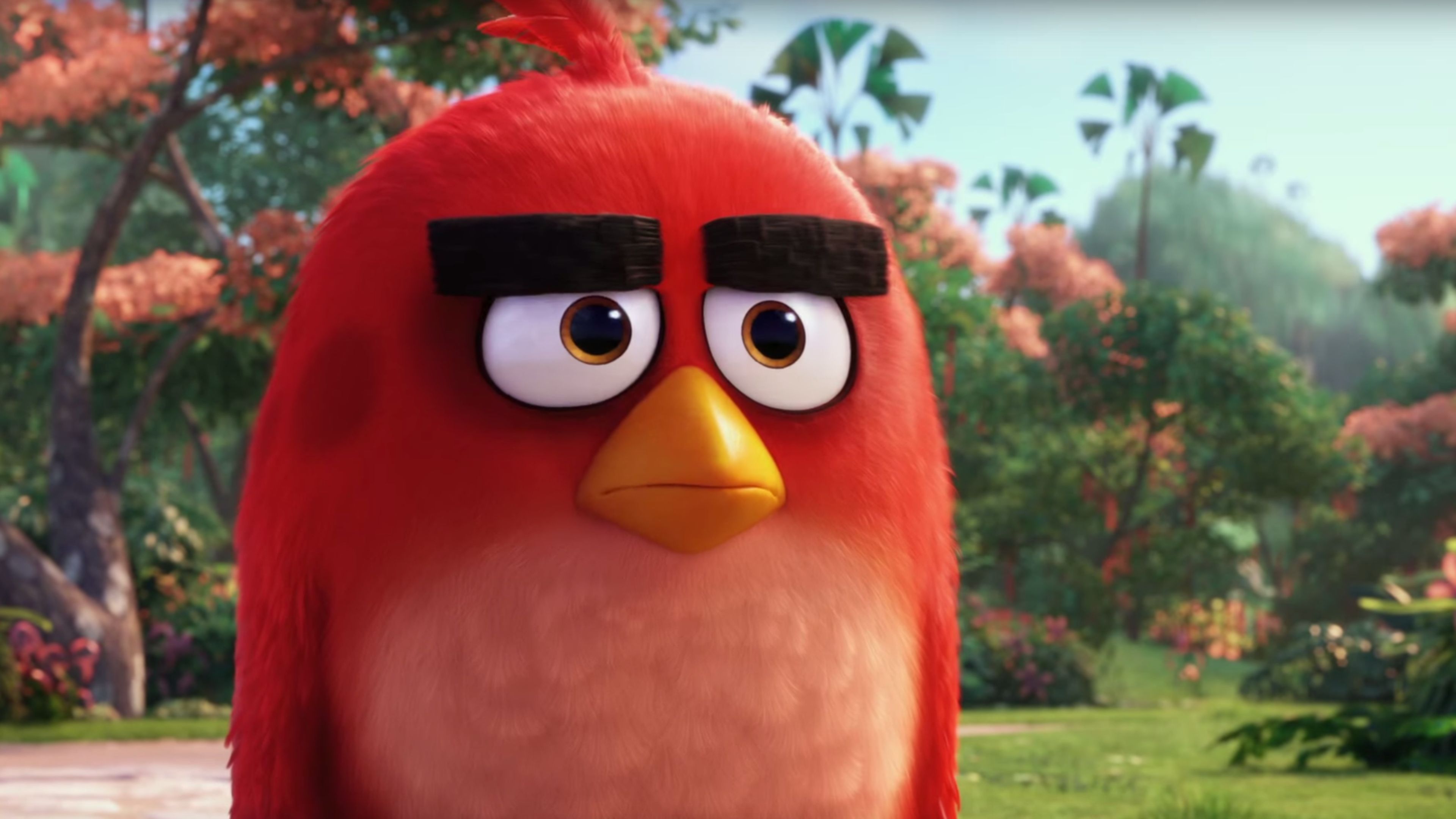 The Angry Birds Movie Wallpapers