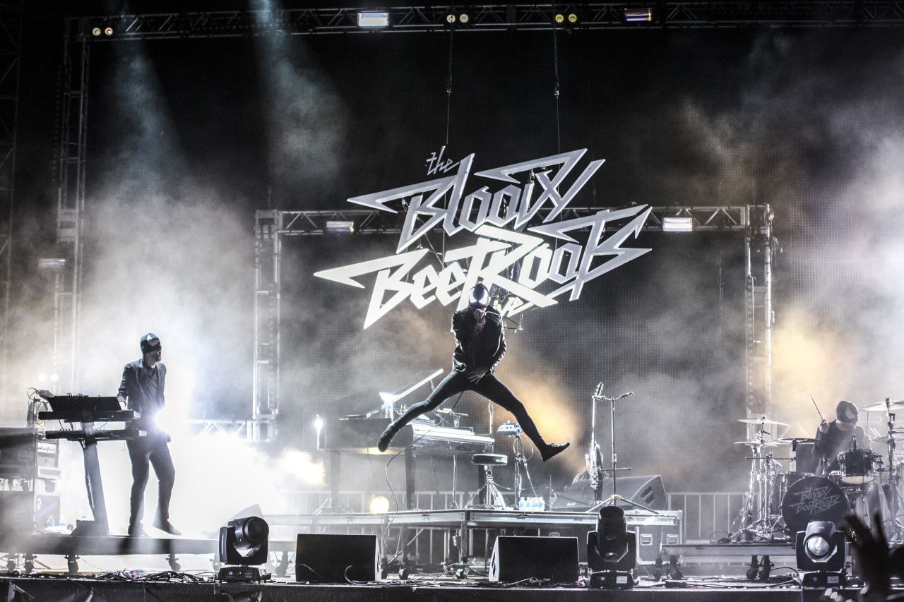 The Bloody Beetroots Wallpapers