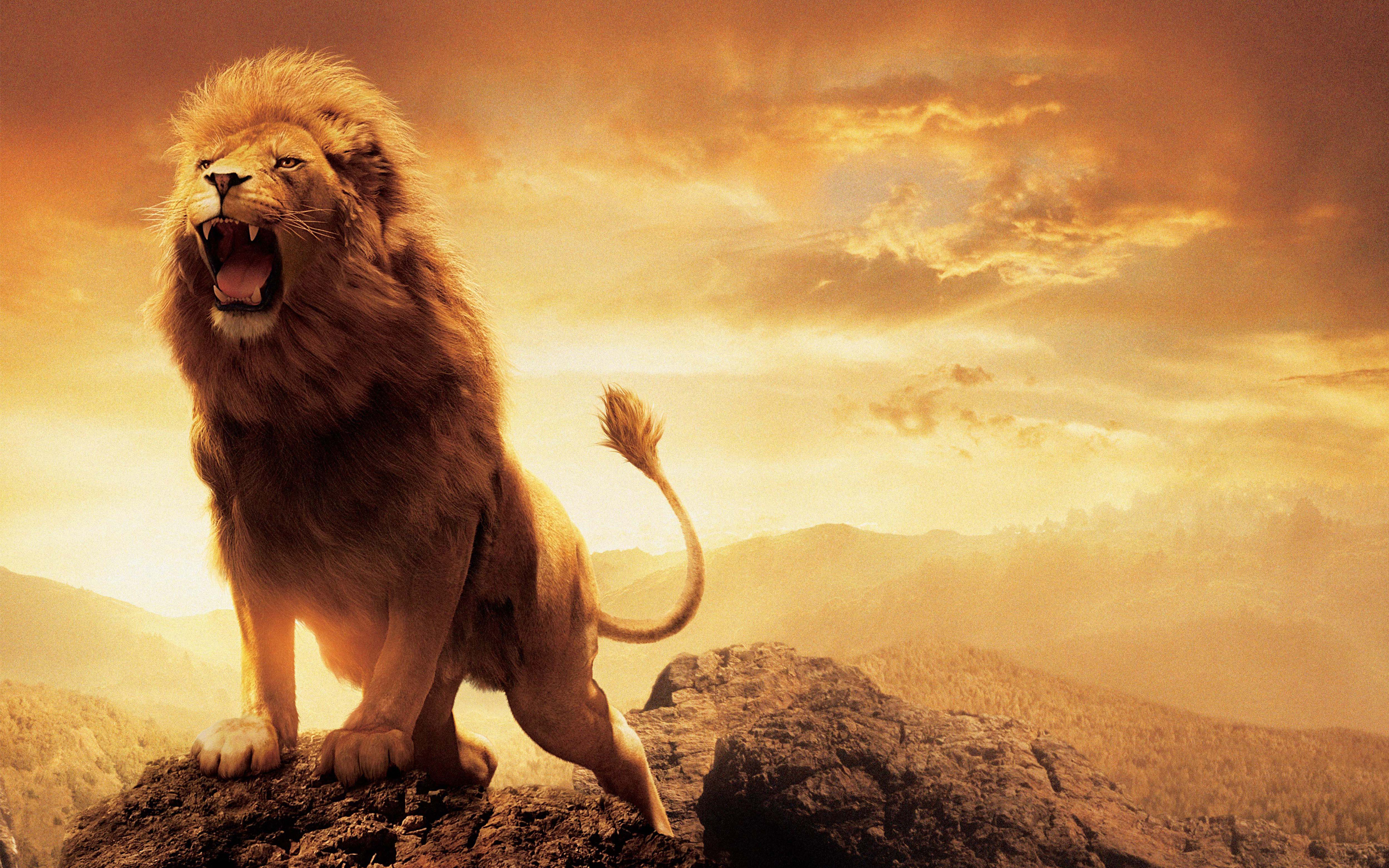 The Chronicles Of Narnia: The Lion, The Witch And The Wardrobe Wallpapers