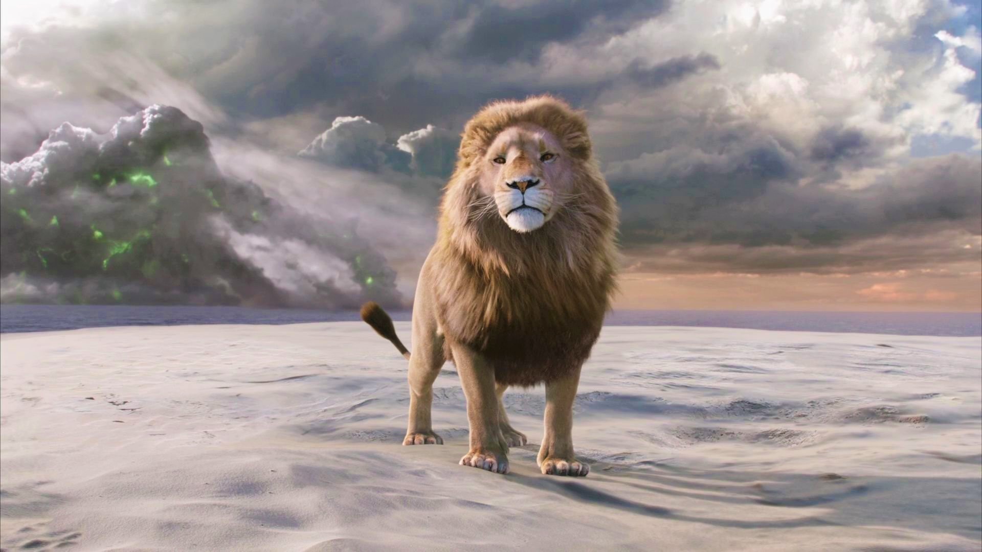 The Chronicles Of Narnia: The Lion, The Witch And The Wardrobe Wallpapers