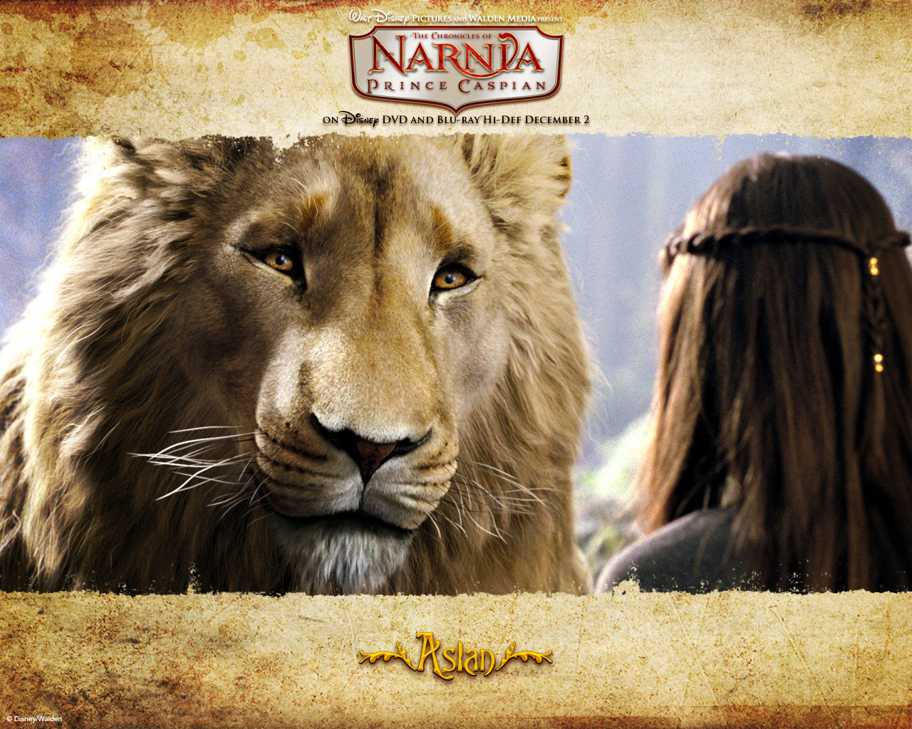 The Chronicles Of Narnia: The Lion, The Witch And The Wardrobe Wallpapers