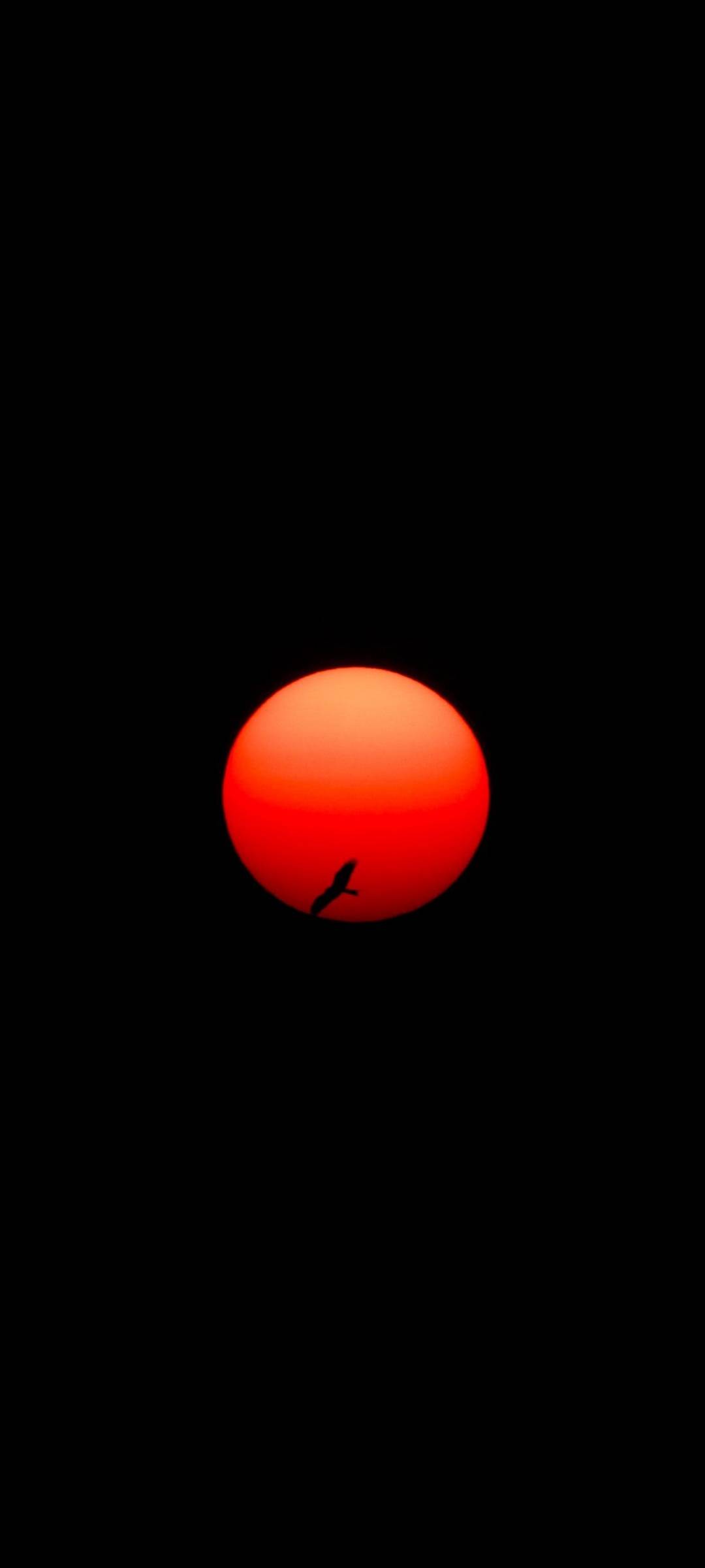 The Distant Red Sun Wallpapers