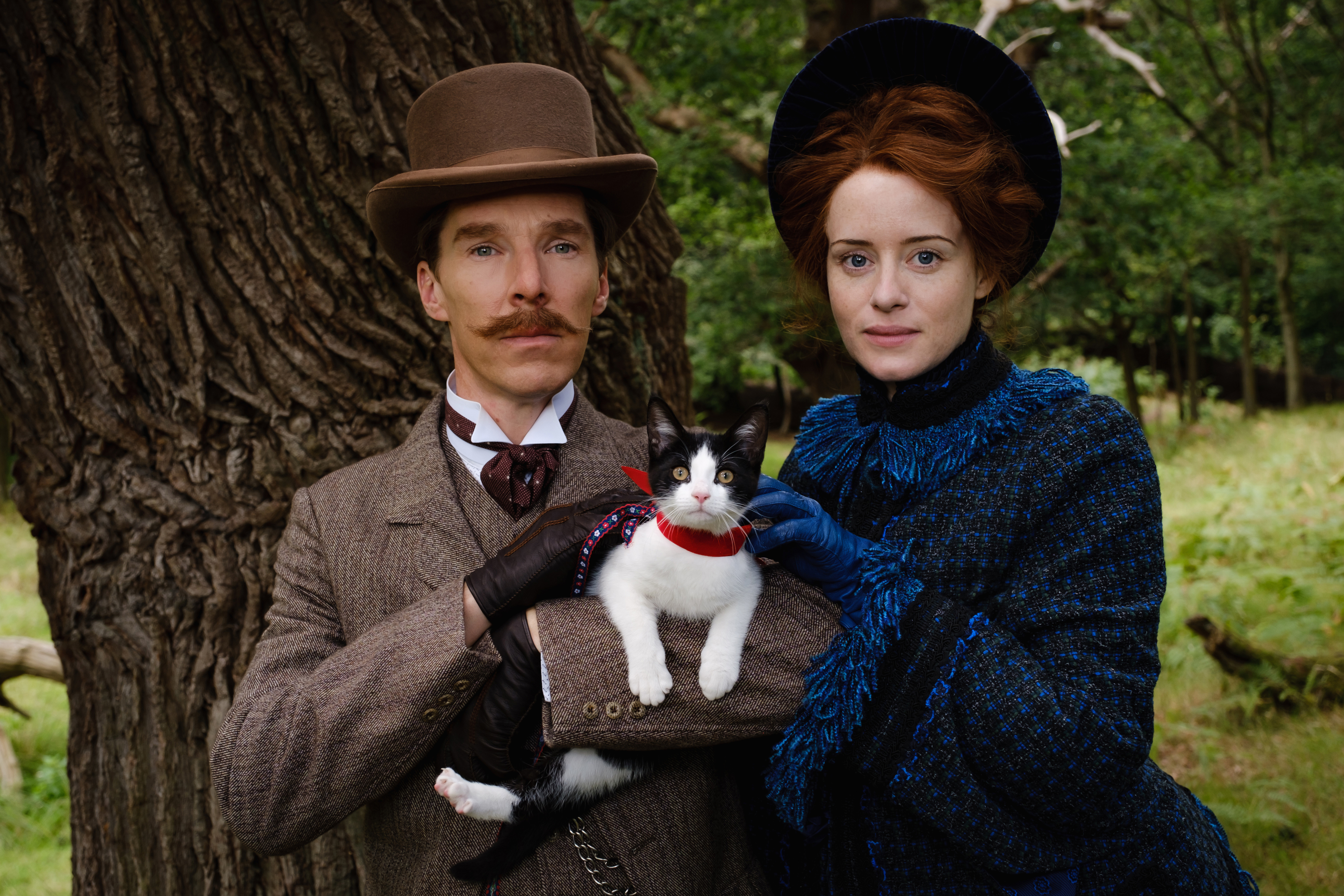 The Electrical Life Of Louis Wain 4K Benedict Cumberbatch Wallpapers