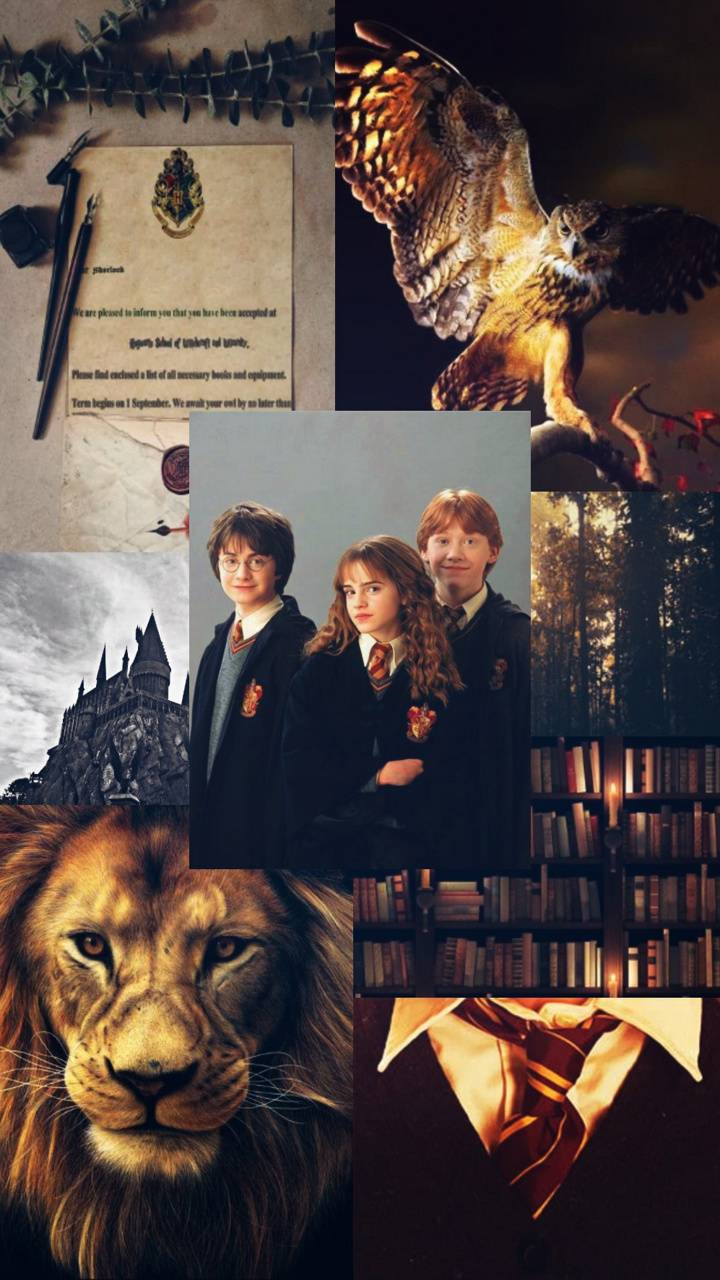 The Golden Trio Wallpapers