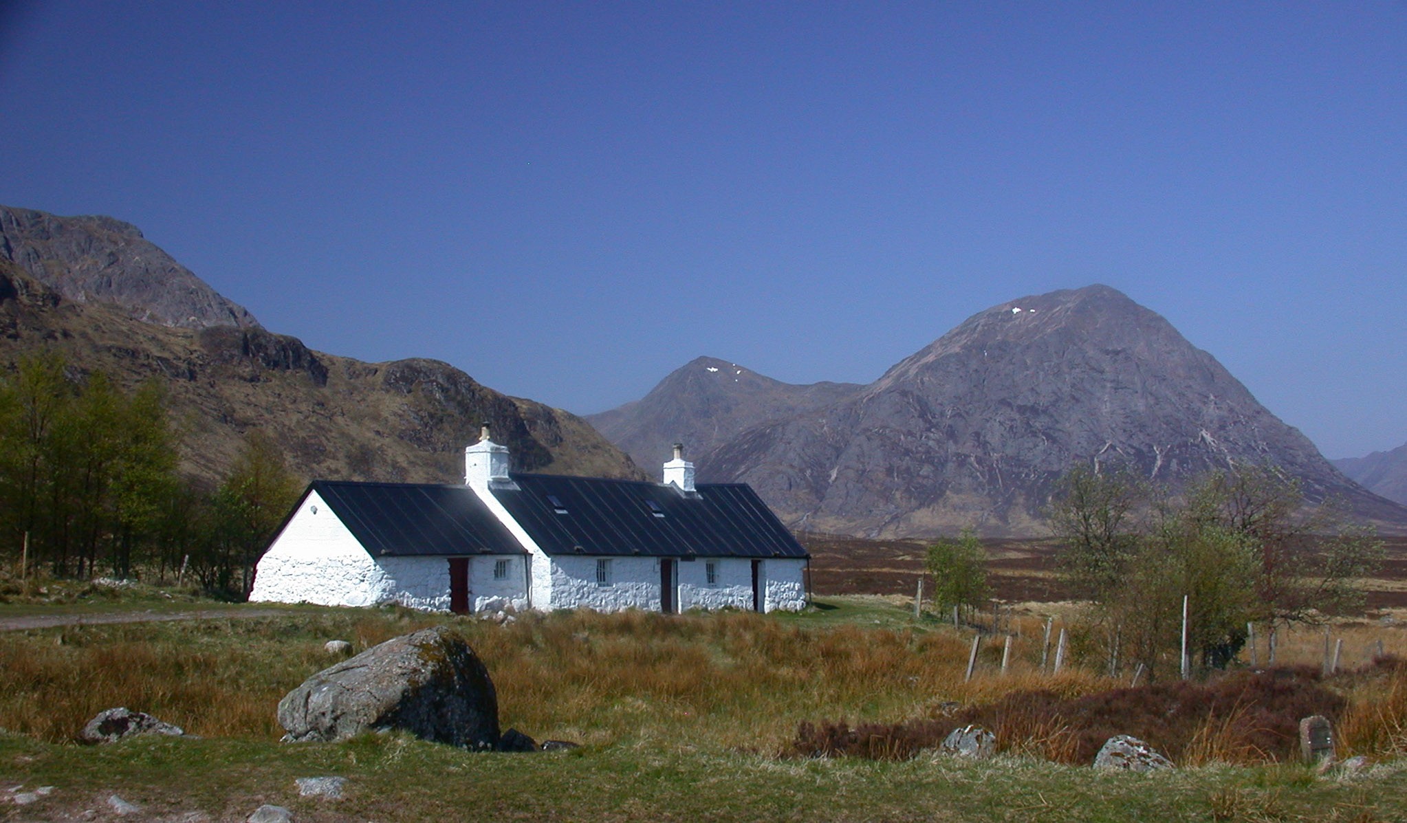 The Great Shepherd Of The Glens In Glencoe Wallpapers