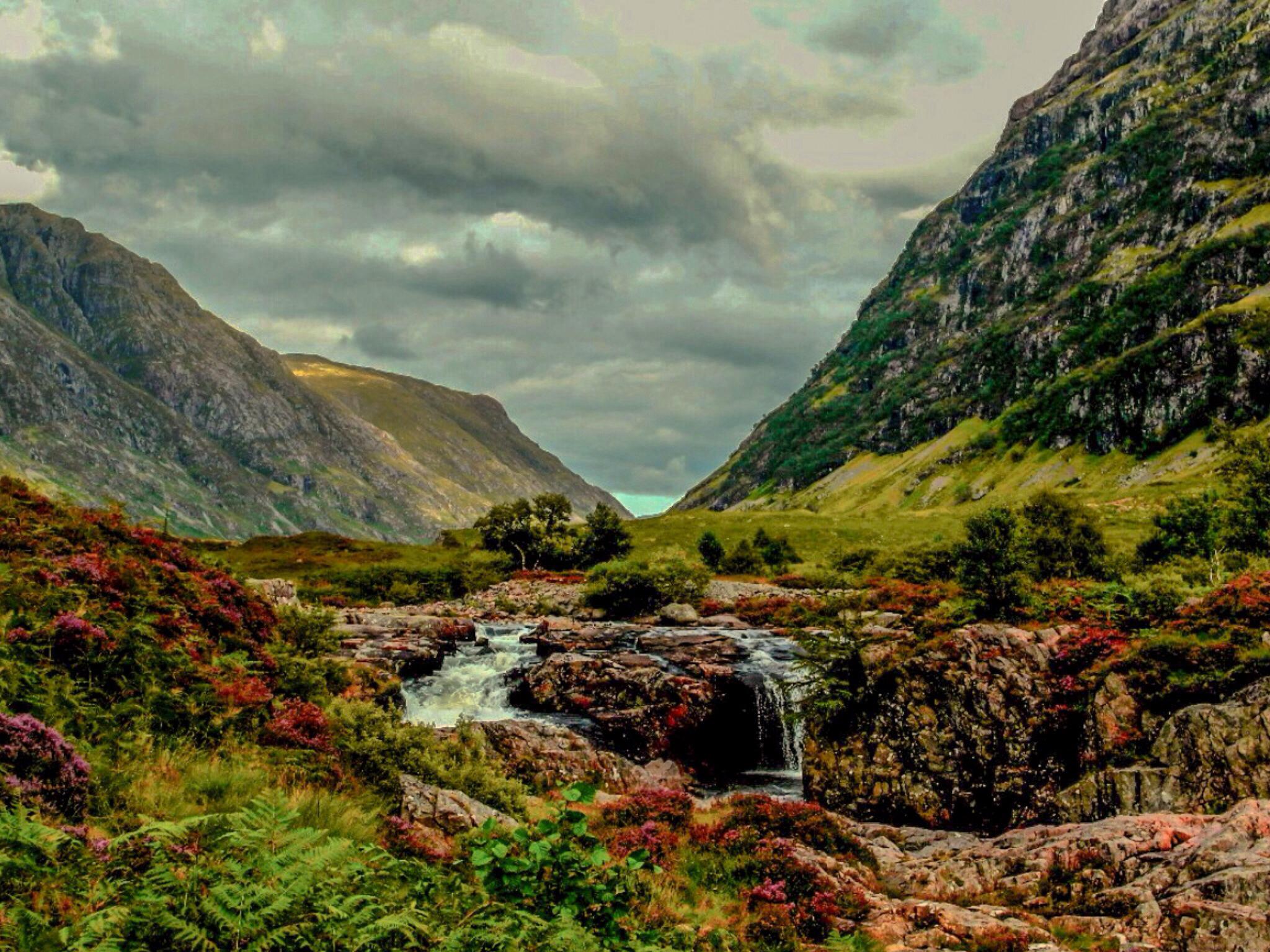 The Great Shepherd Of The Glens In Glencoe Wallpapers