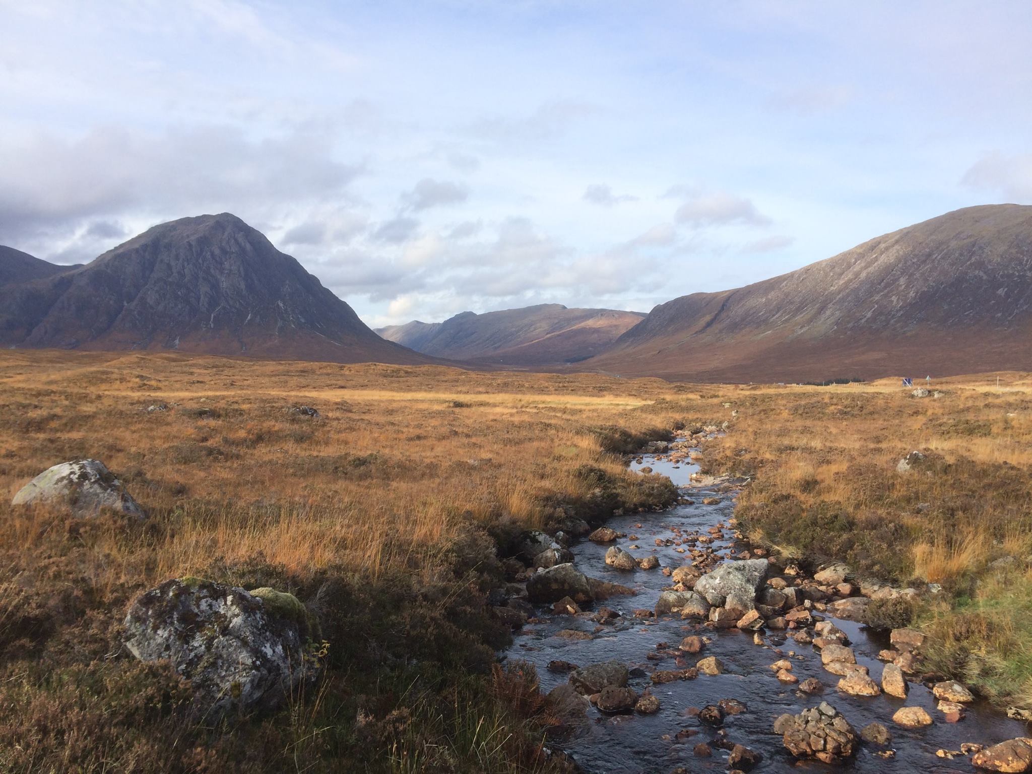 The Great Shepherd Of The Glens In Glencoe Wallpapers