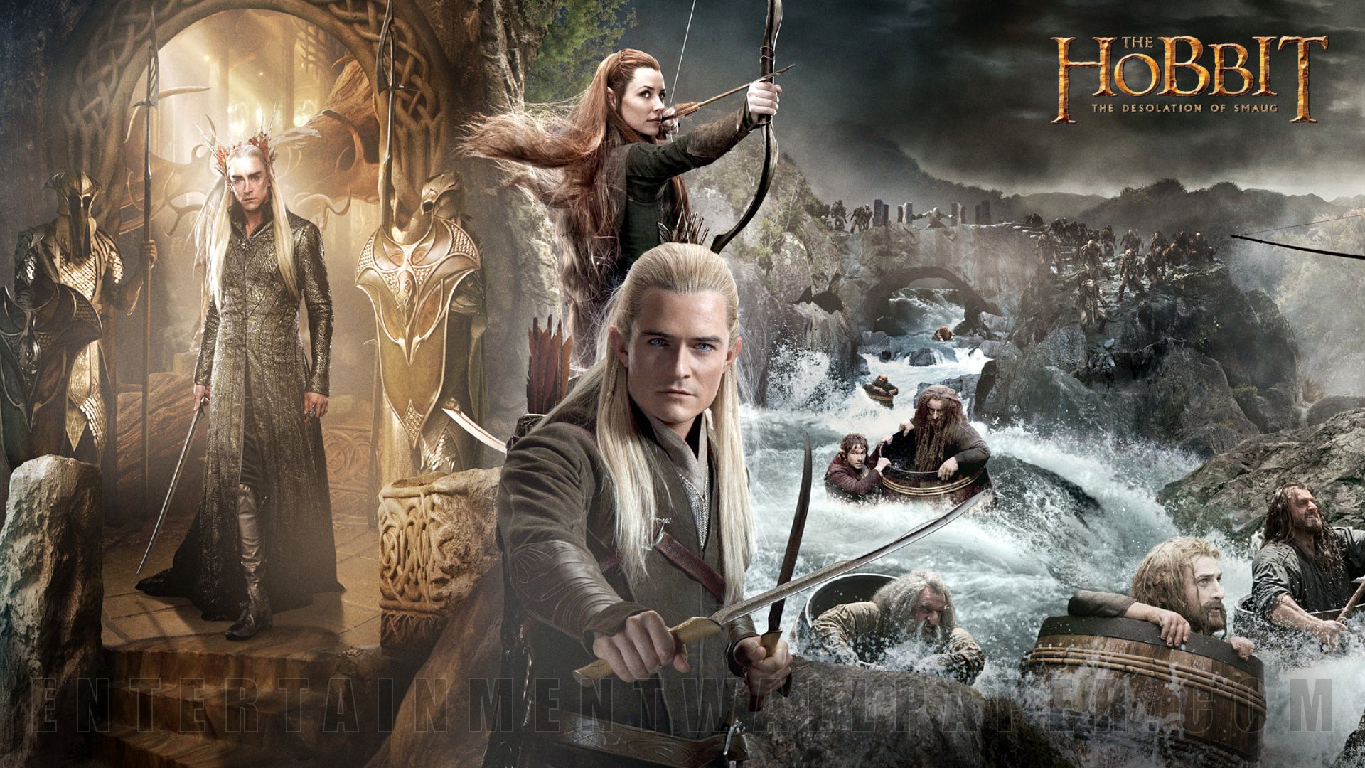 The Hobbit: The Desolation Of Smaug Wallpapers