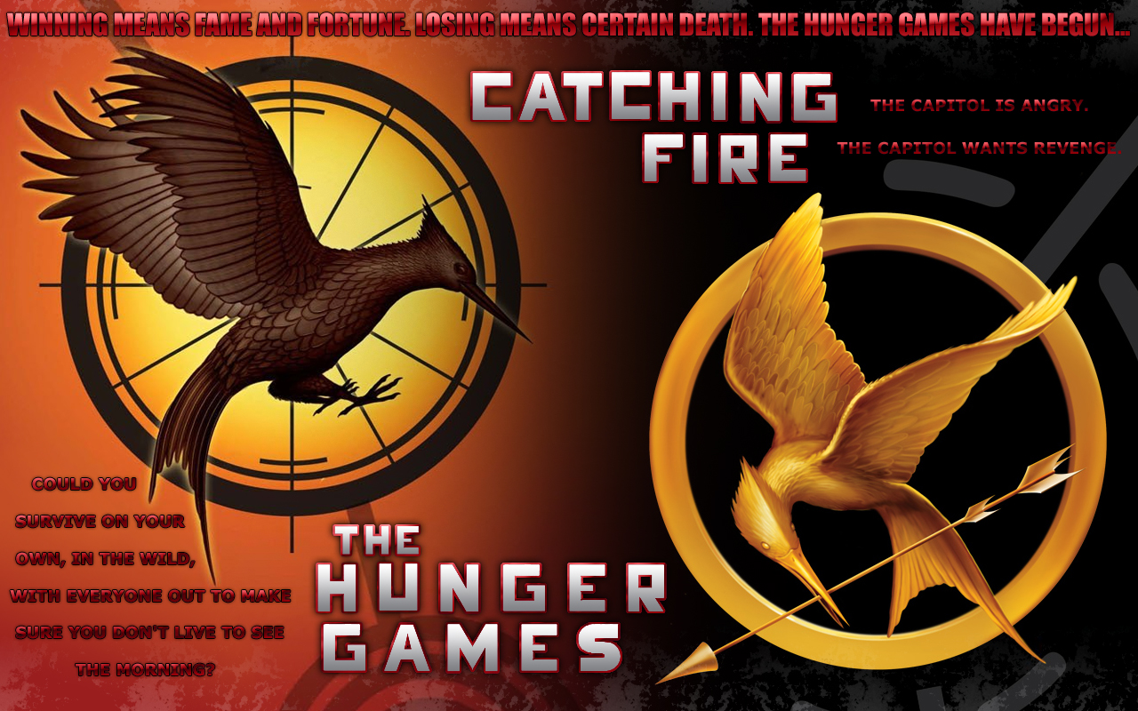 The Hunger Games: Catching Fire Wallpapers