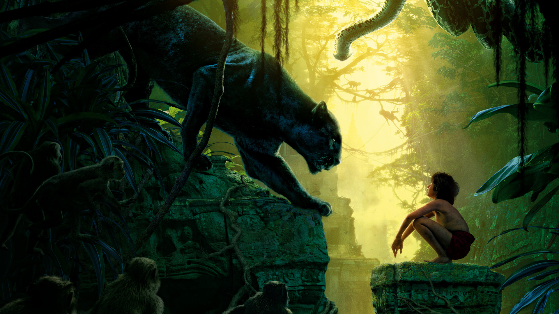 The Jungle Book (2016) Wallpapers