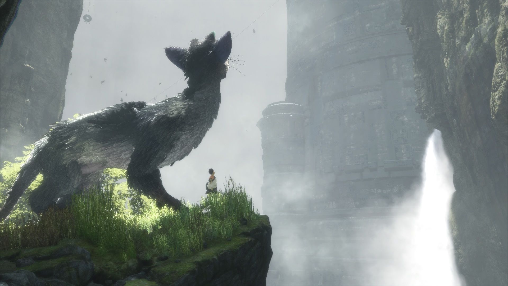 The Last Guardian Background