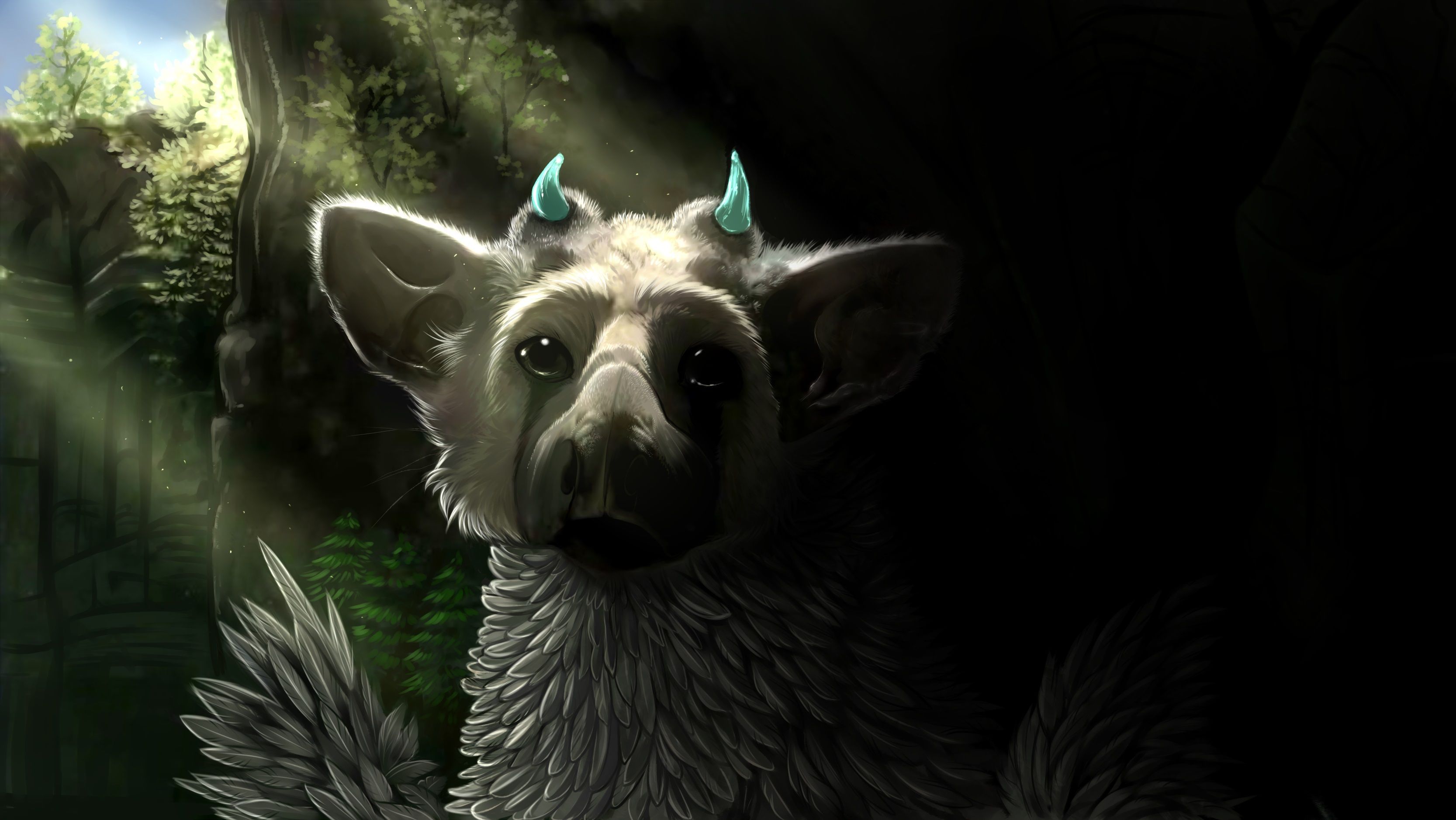 The Last Guardian Wallpapers