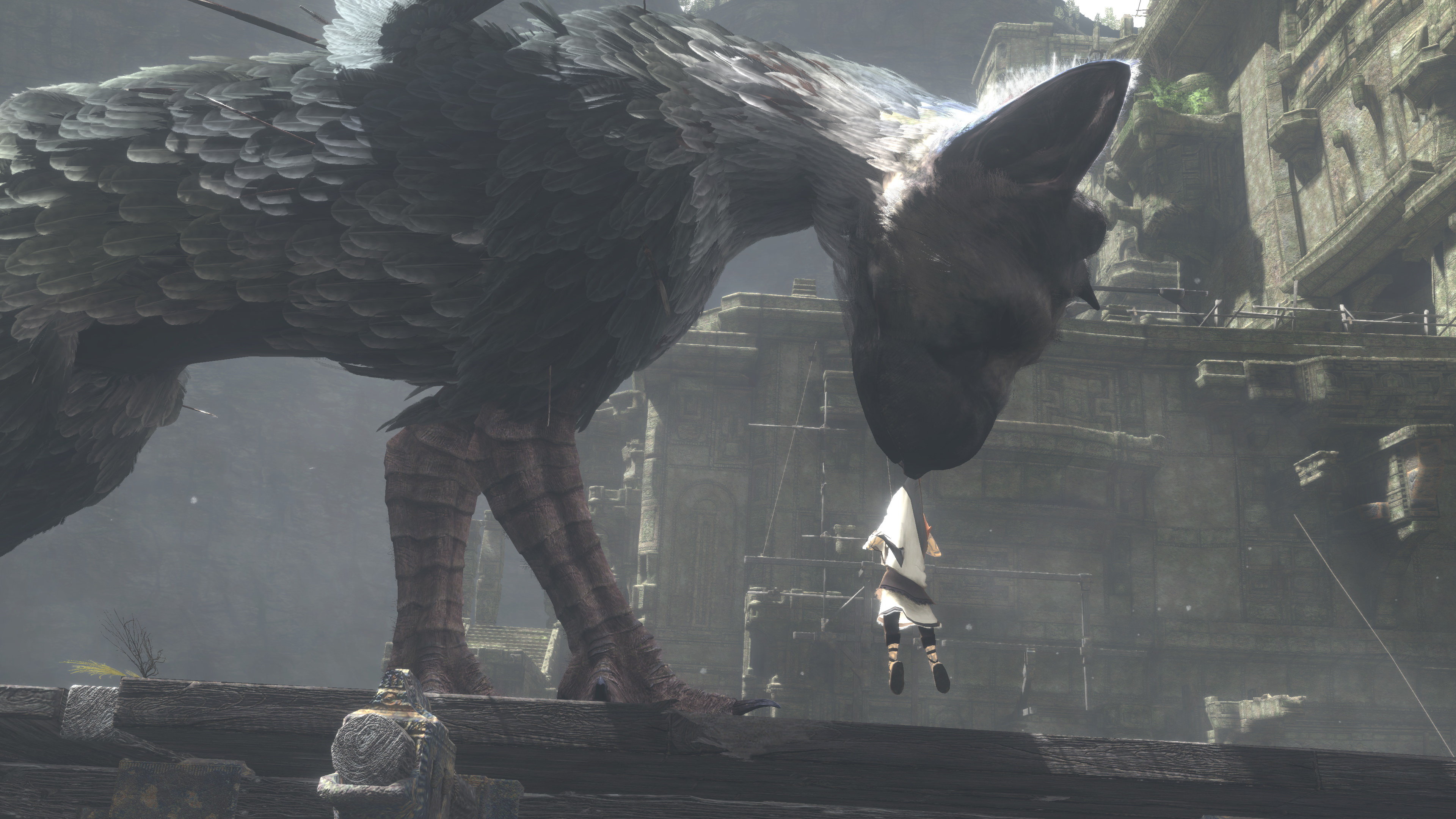 The Last Guardian Wallpapers