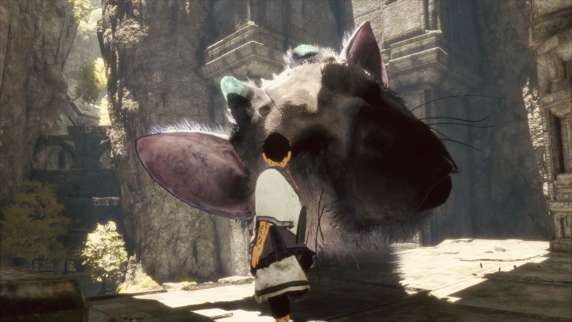 The Last Guardian Wallpapers