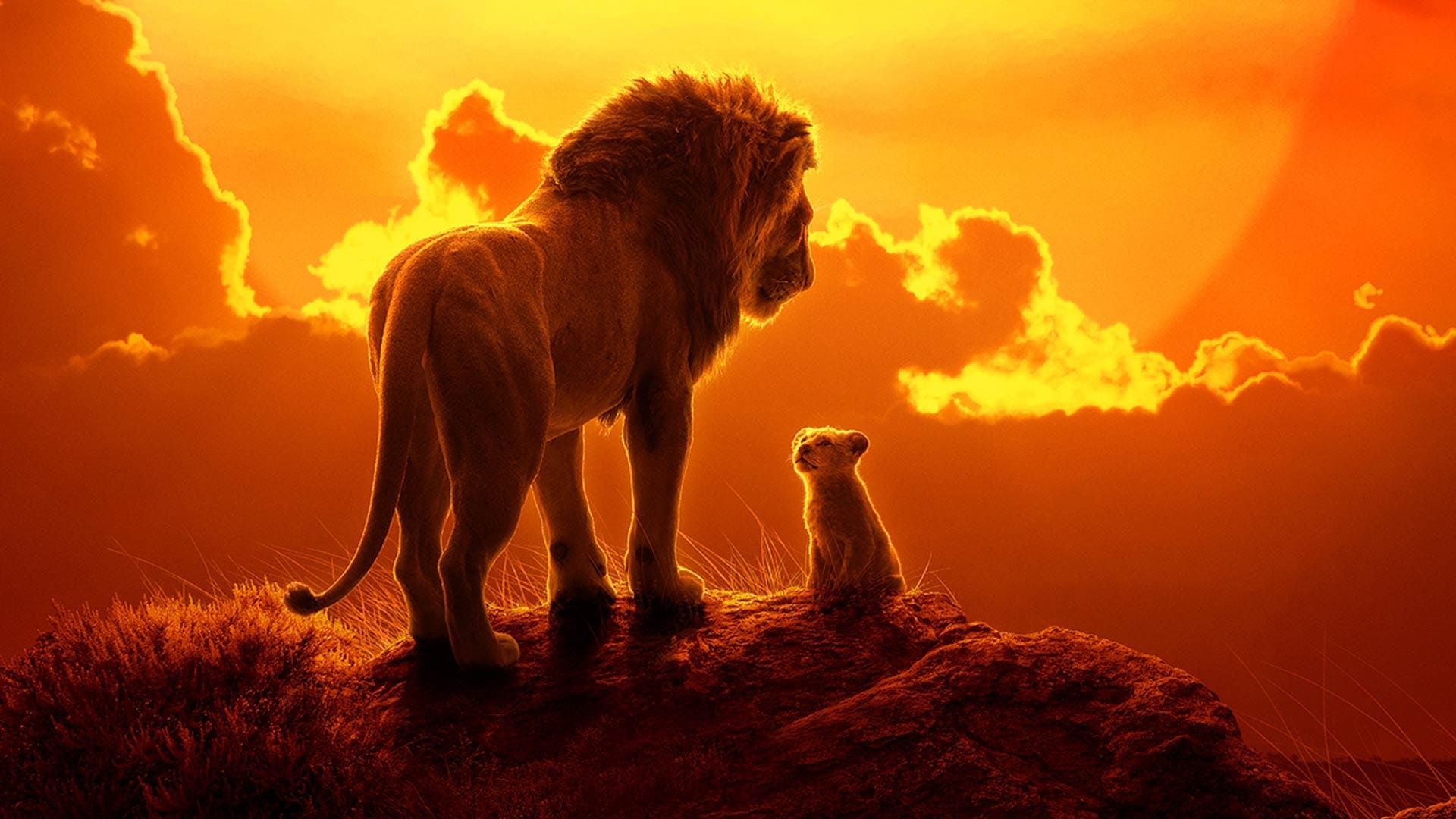 The Lion King (1994) Wallpapers