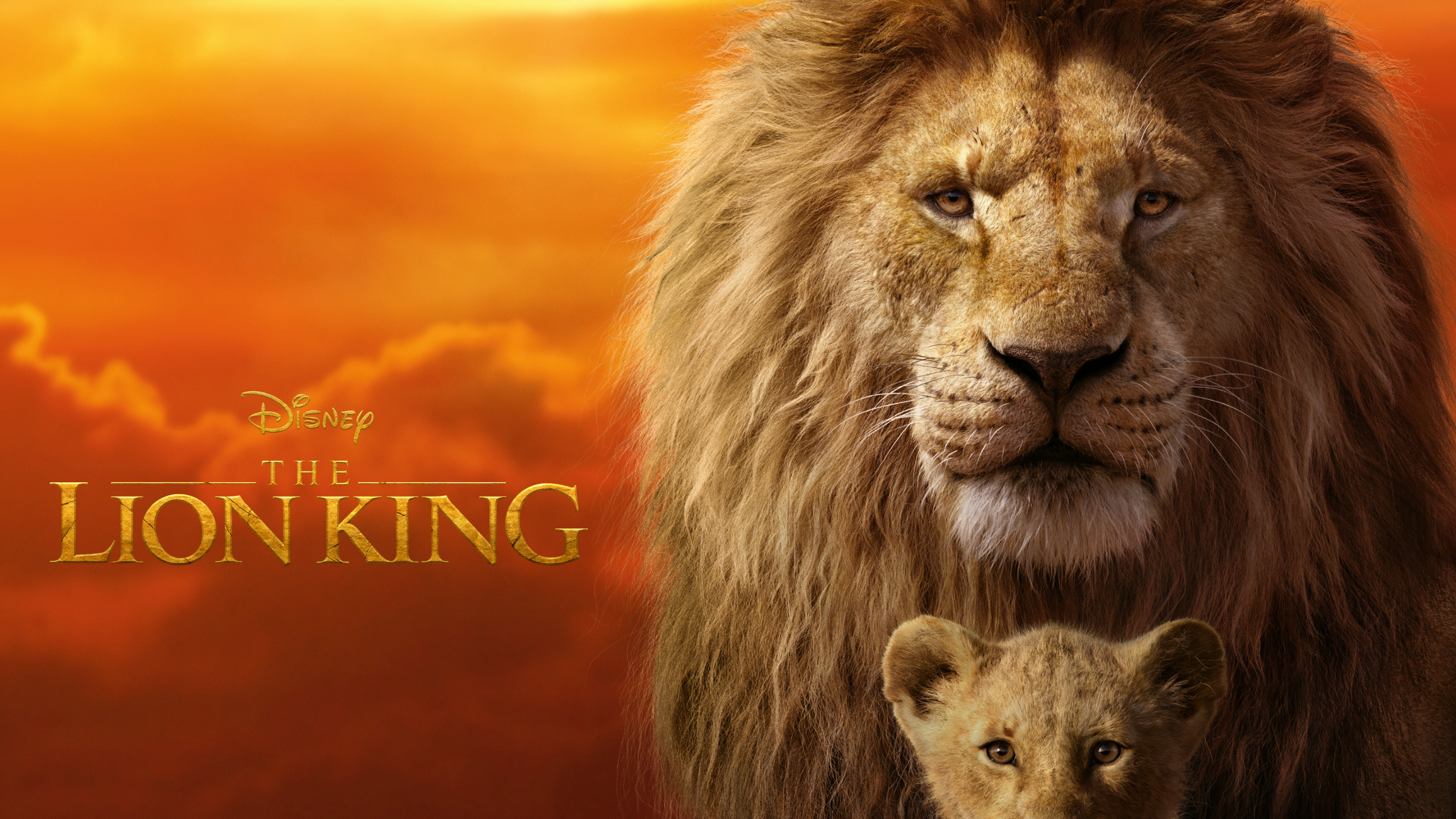 The Lion King (2019) Wallpapers