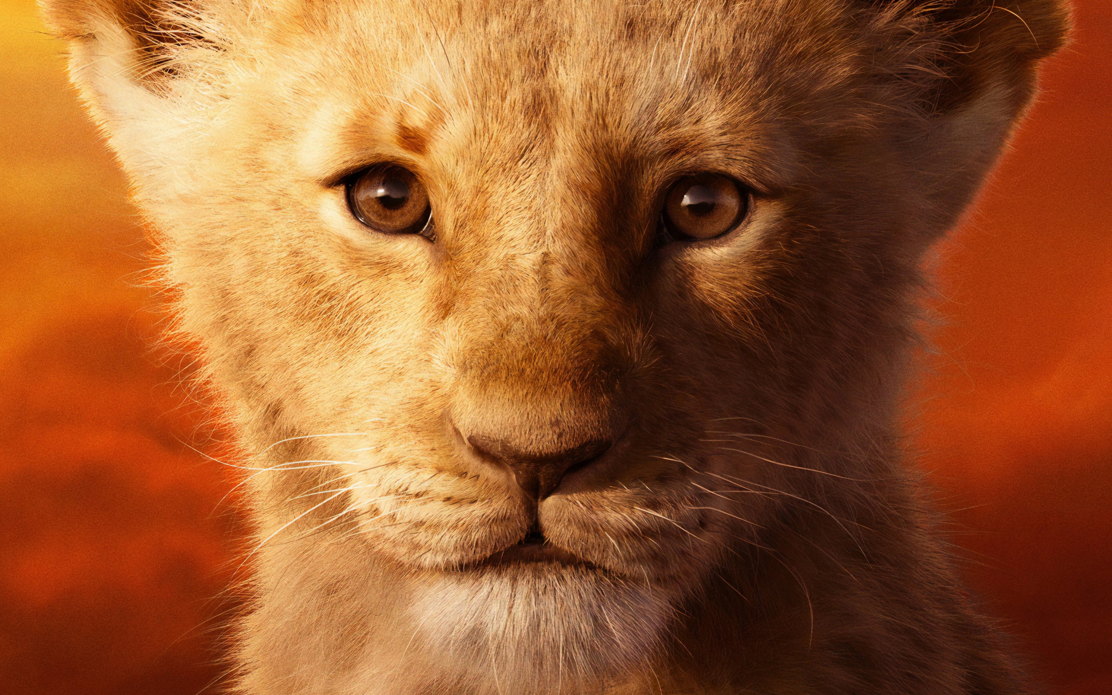 The Lion King (2019) Wallpapers