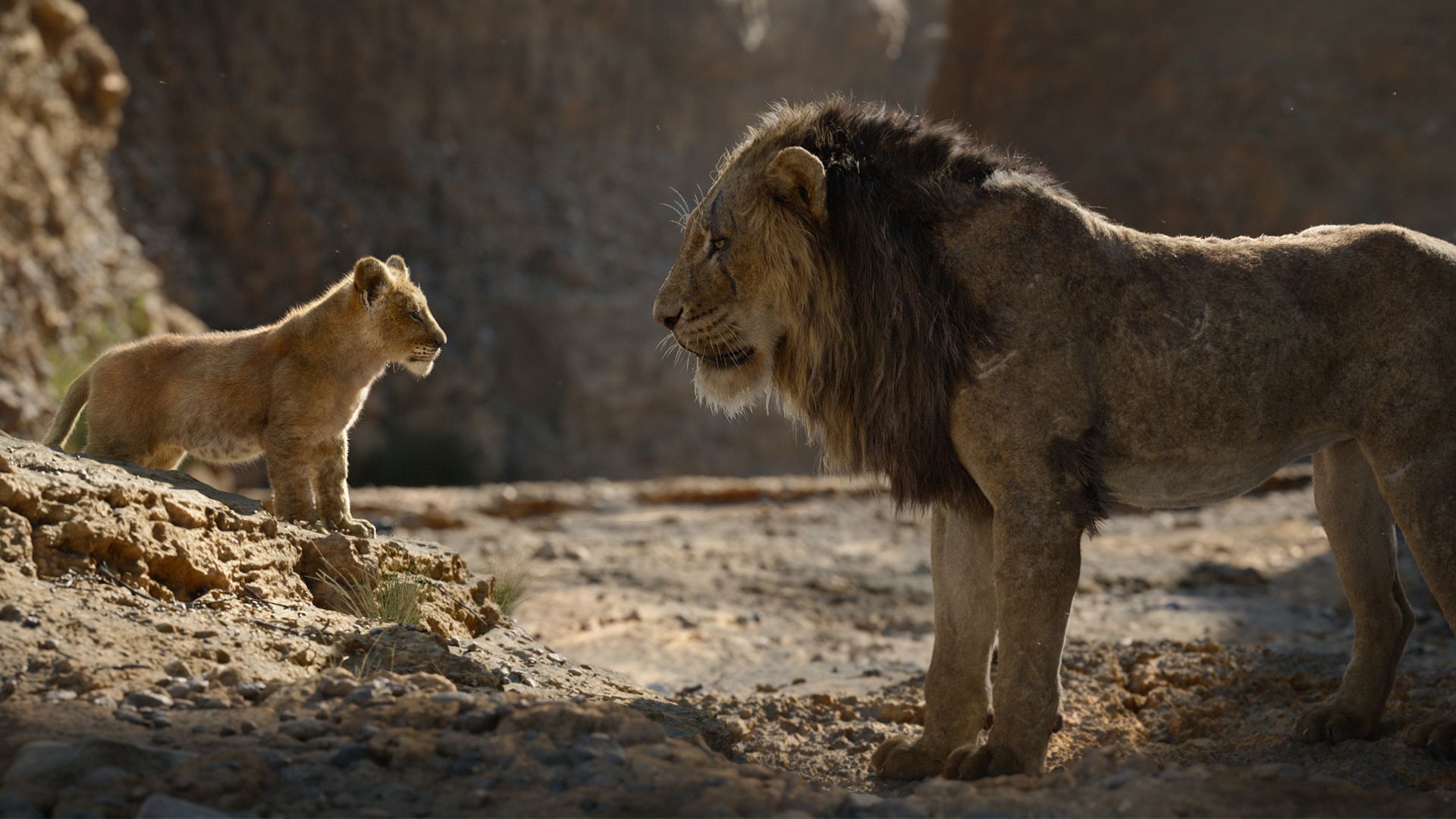 The Lion King (2019) Wallpapers