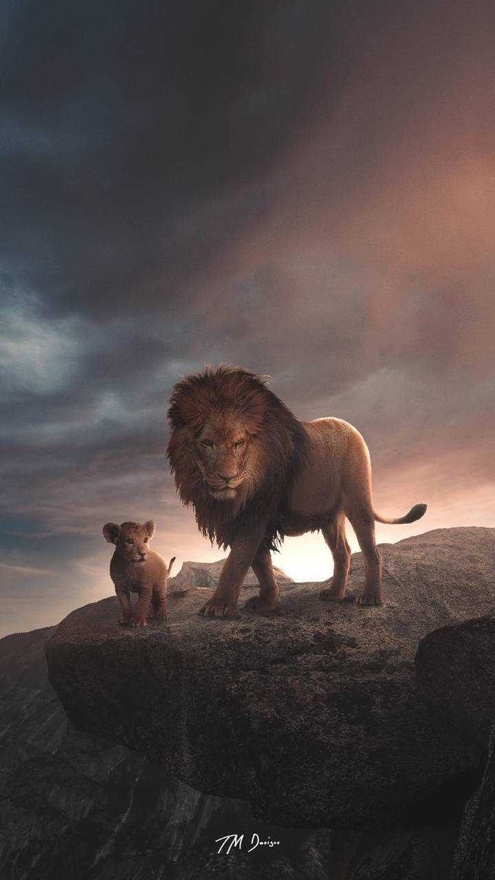 The Lion King Wallpapers