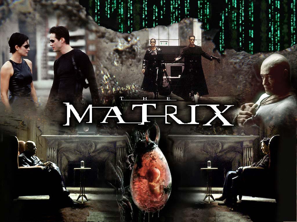 The Matrix 1 Wallpapers