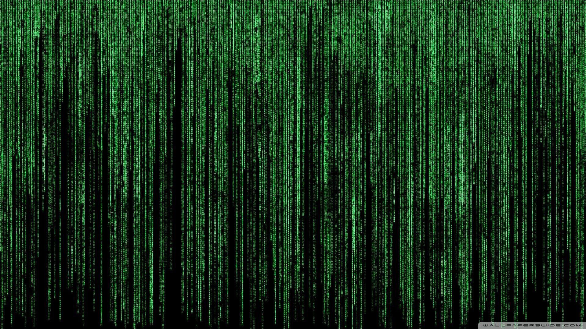 The Matrix 4K Wallpapers