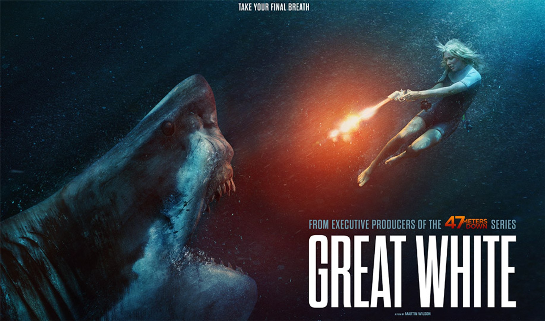 The Meg Sharks And Diver Poster Wallpapers