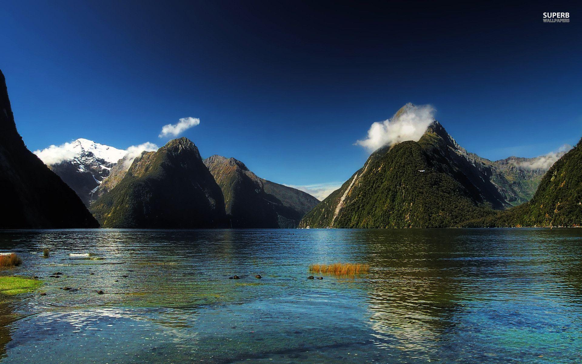 The Milky Pink Sea At Milford Sound 4K New Zealand Wallpapers