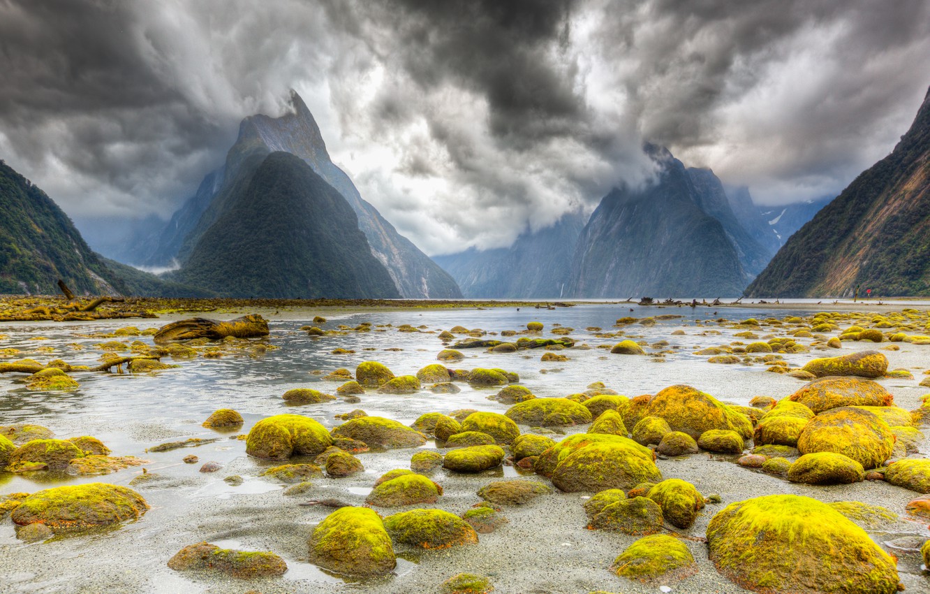 The Milky Pink Sea At Milford Sound 4K New Zealand Wallpapers