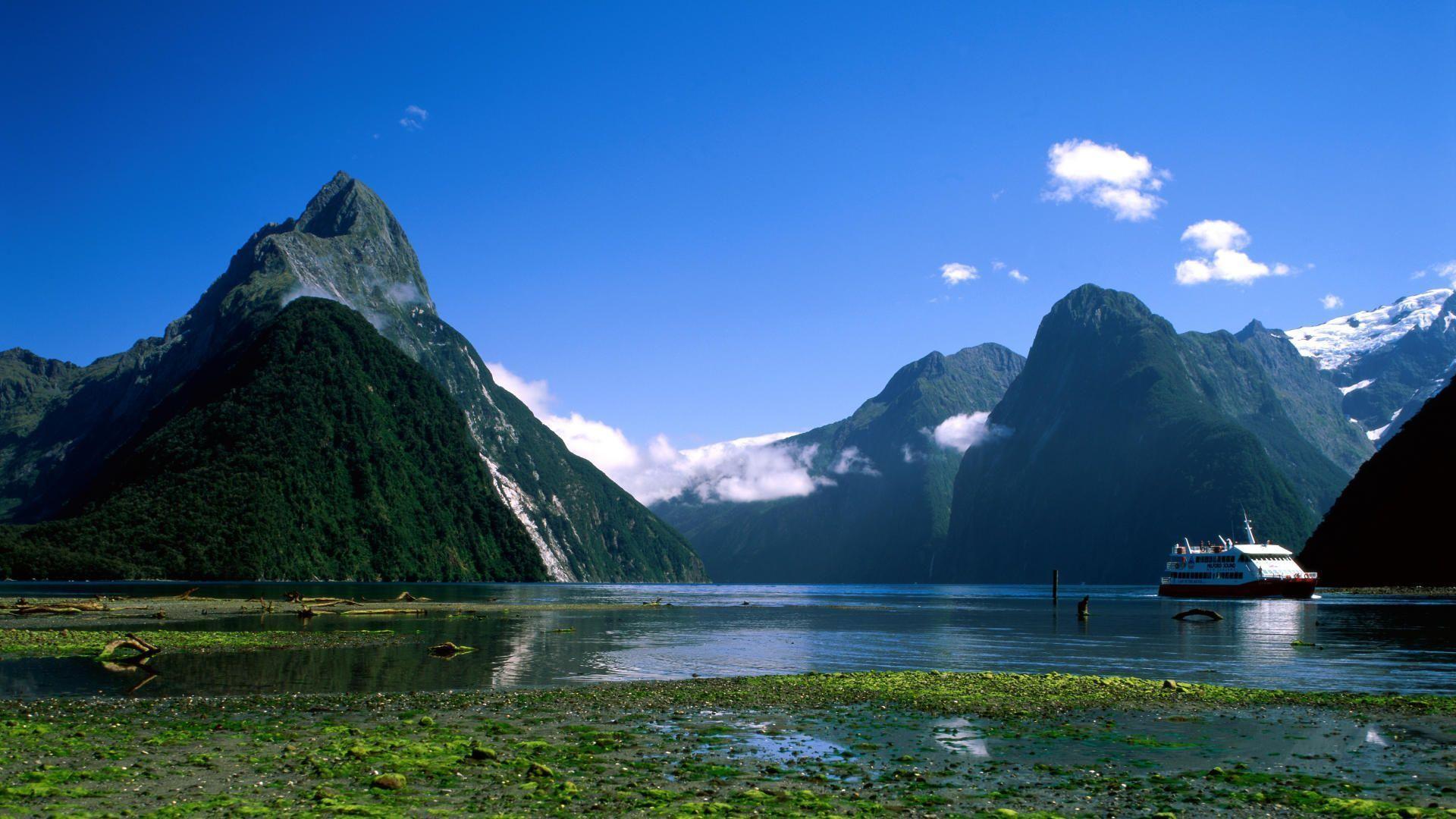 The Milky Pink Sea At Milford Sound 4K New Zealand Wallpapers