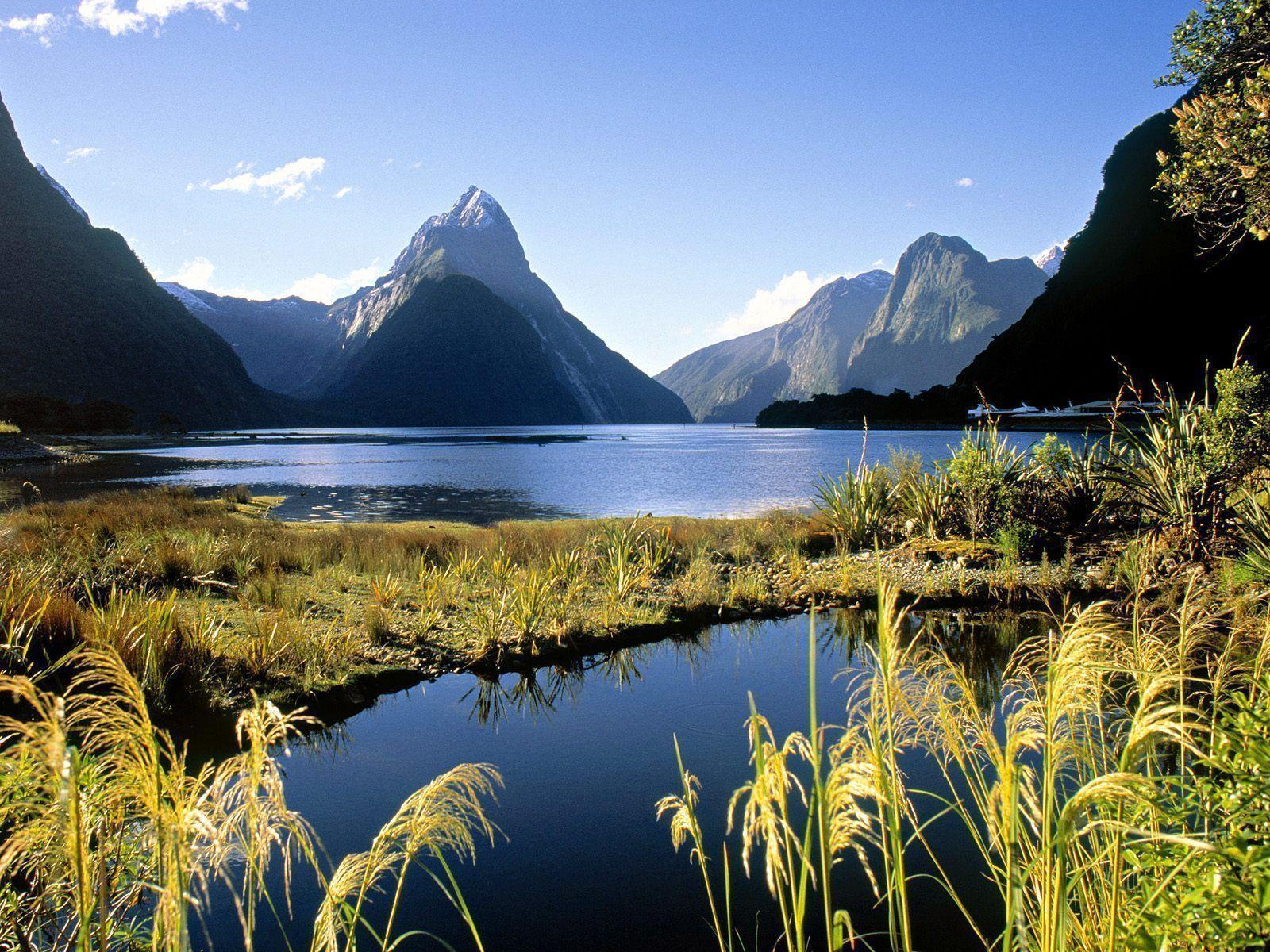 The Milky Pink Sea At Milford Sound 4K New Zealand Wallpapers